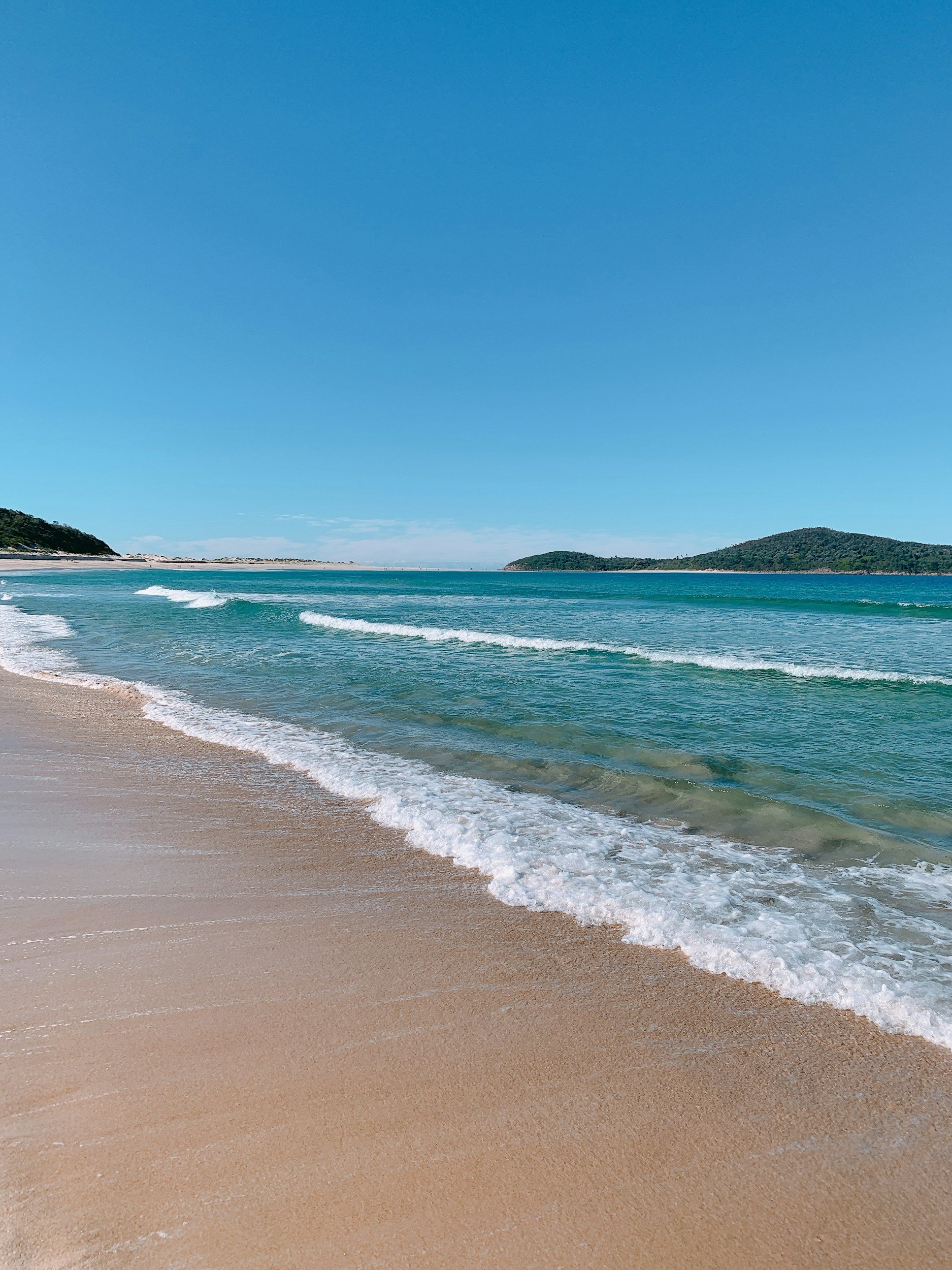 Close-up of white rhododendron flowers against a clear blue sky.
