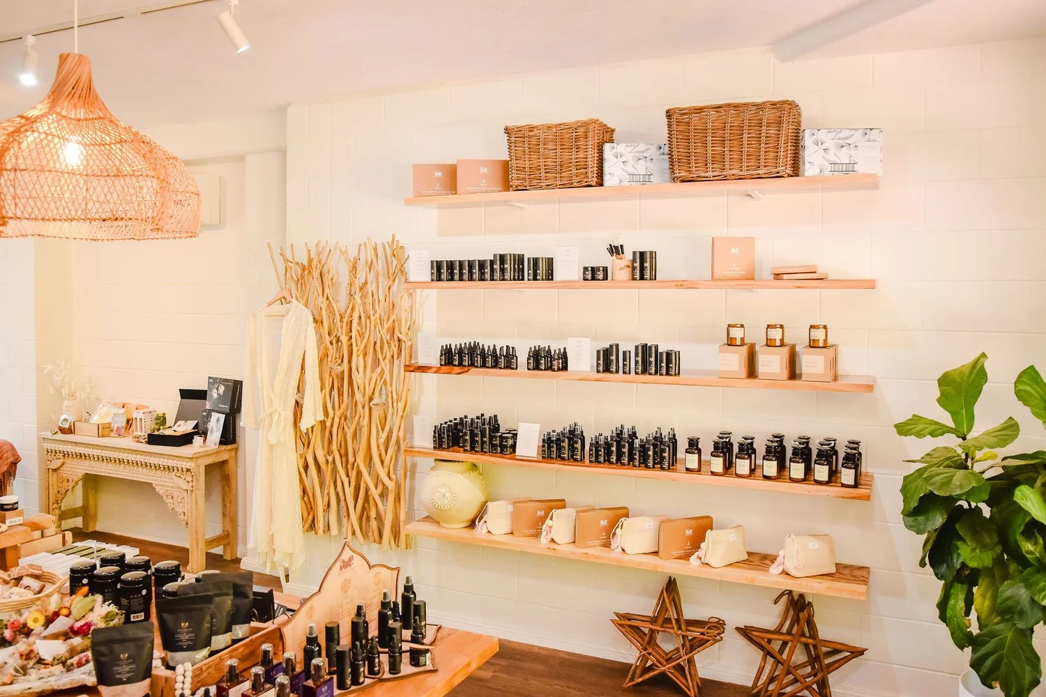 jata-holistic-store-shelves.JPG