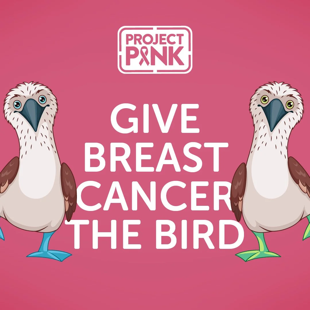 PA Research Foundation - Project Pink