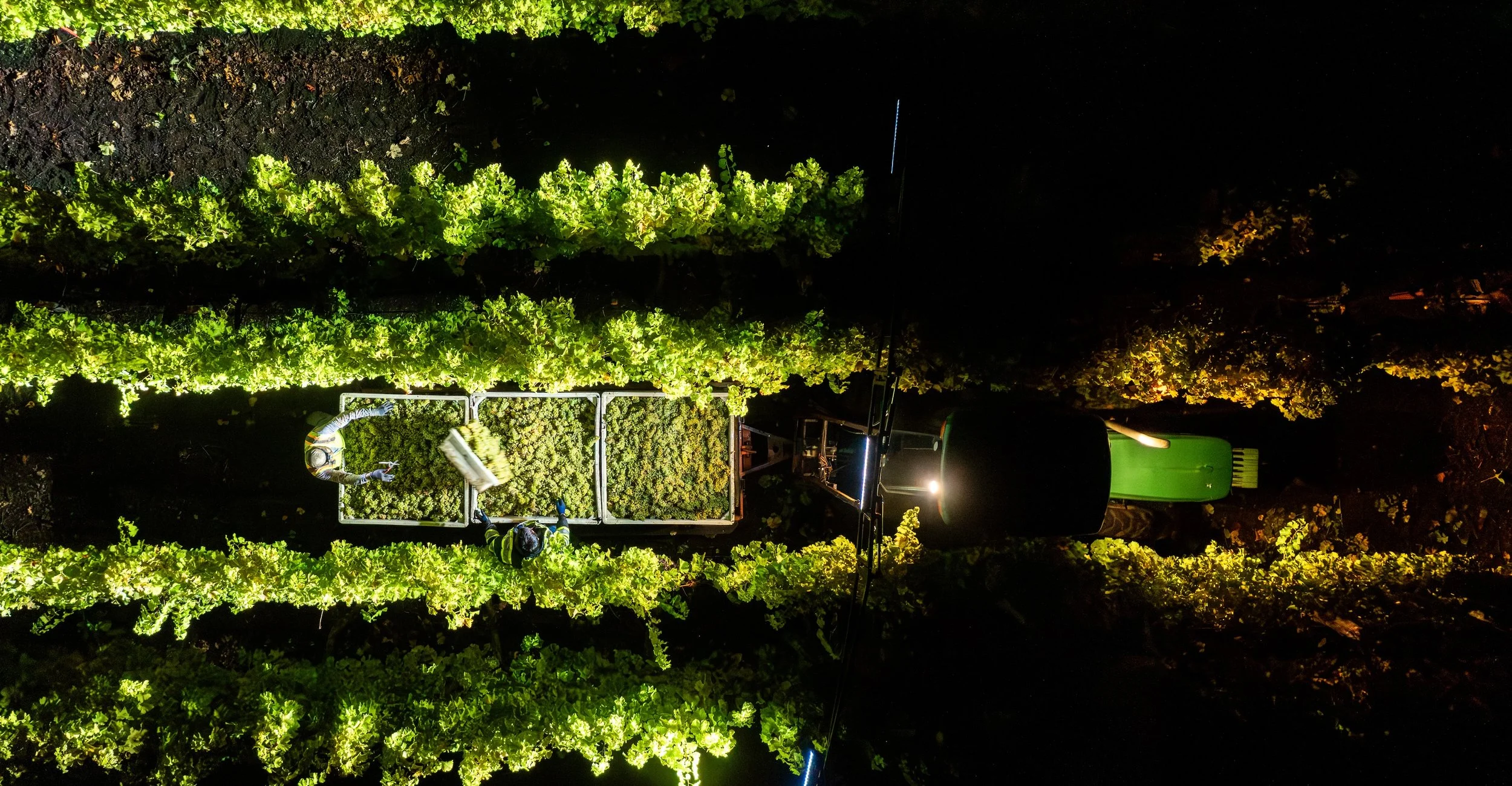 DJI_0978_mod2.jpg
