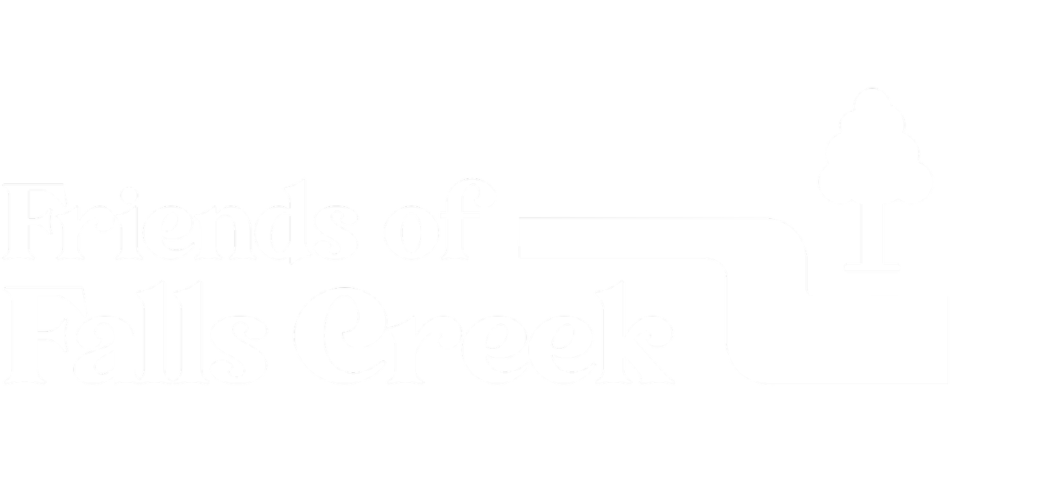 Friends of Falls Creek