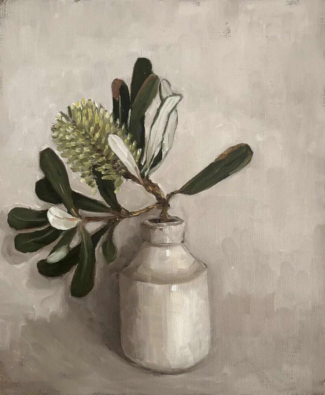 Coastal Banksia