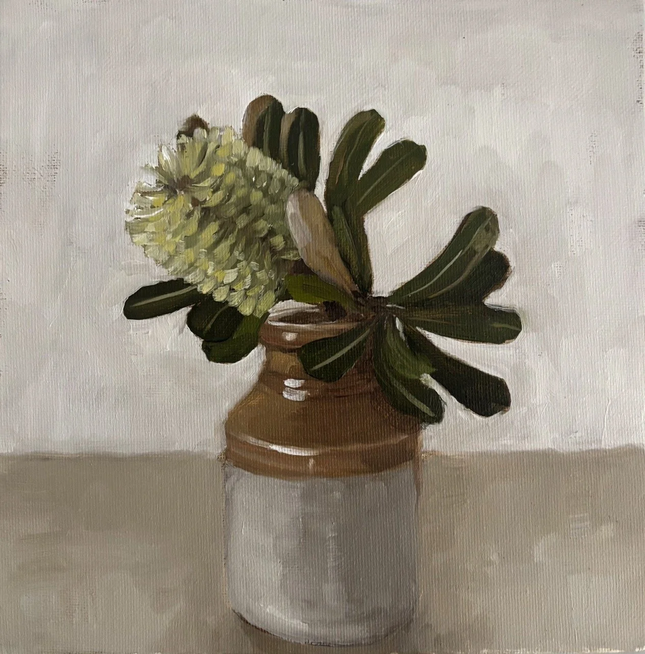 Little Banksia