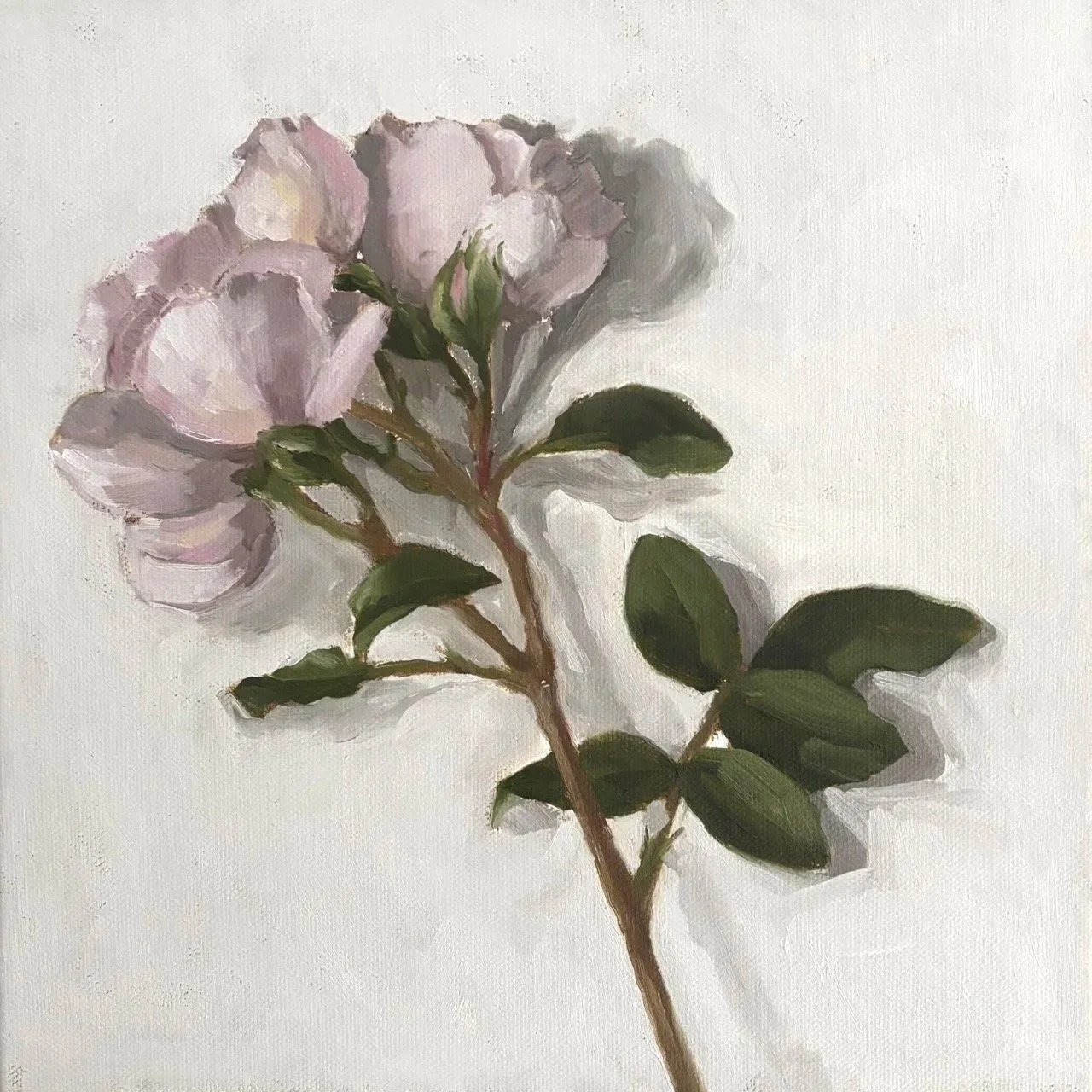 White+roses+Large.jpg