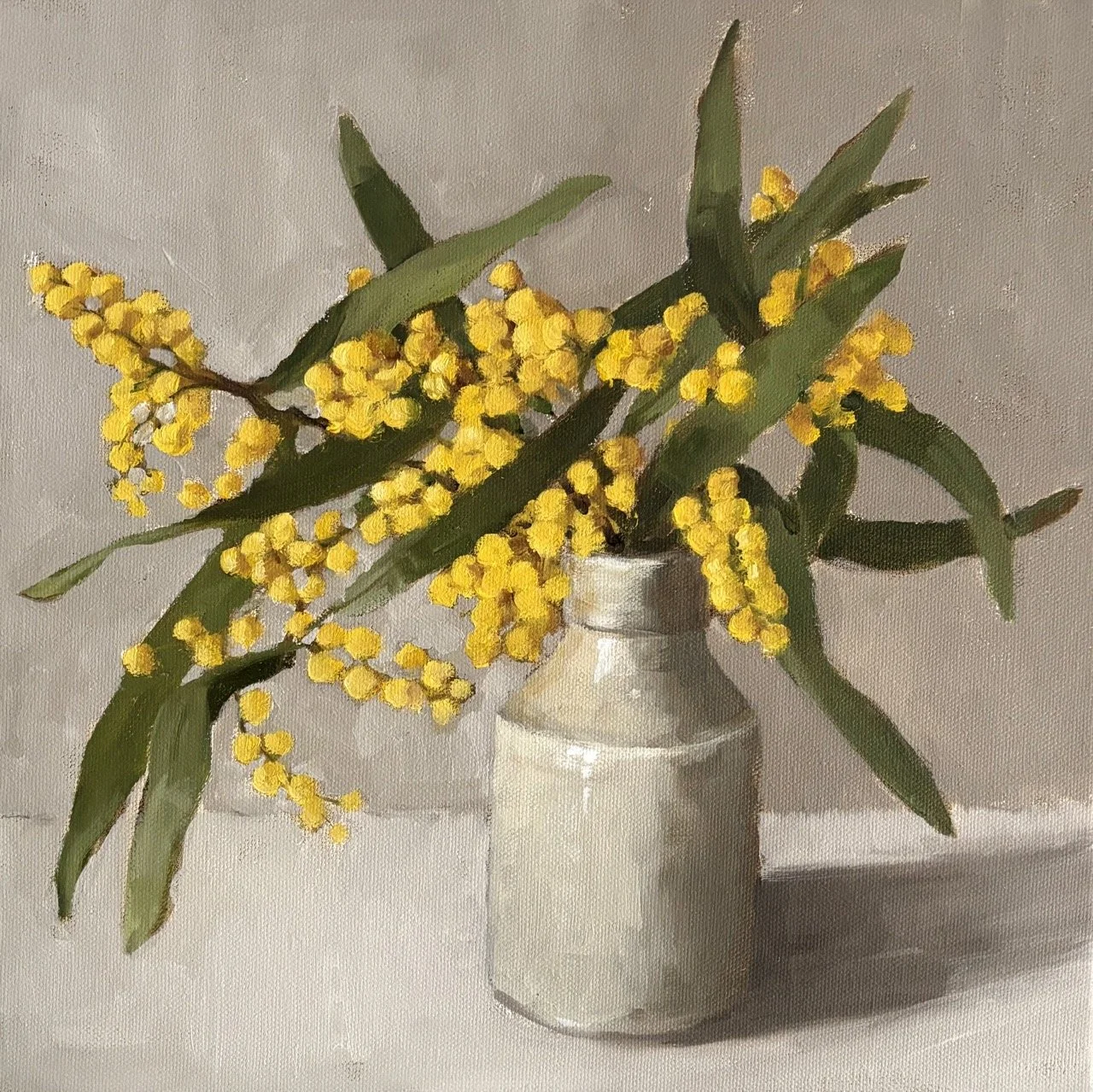 Wattle in Little Jar