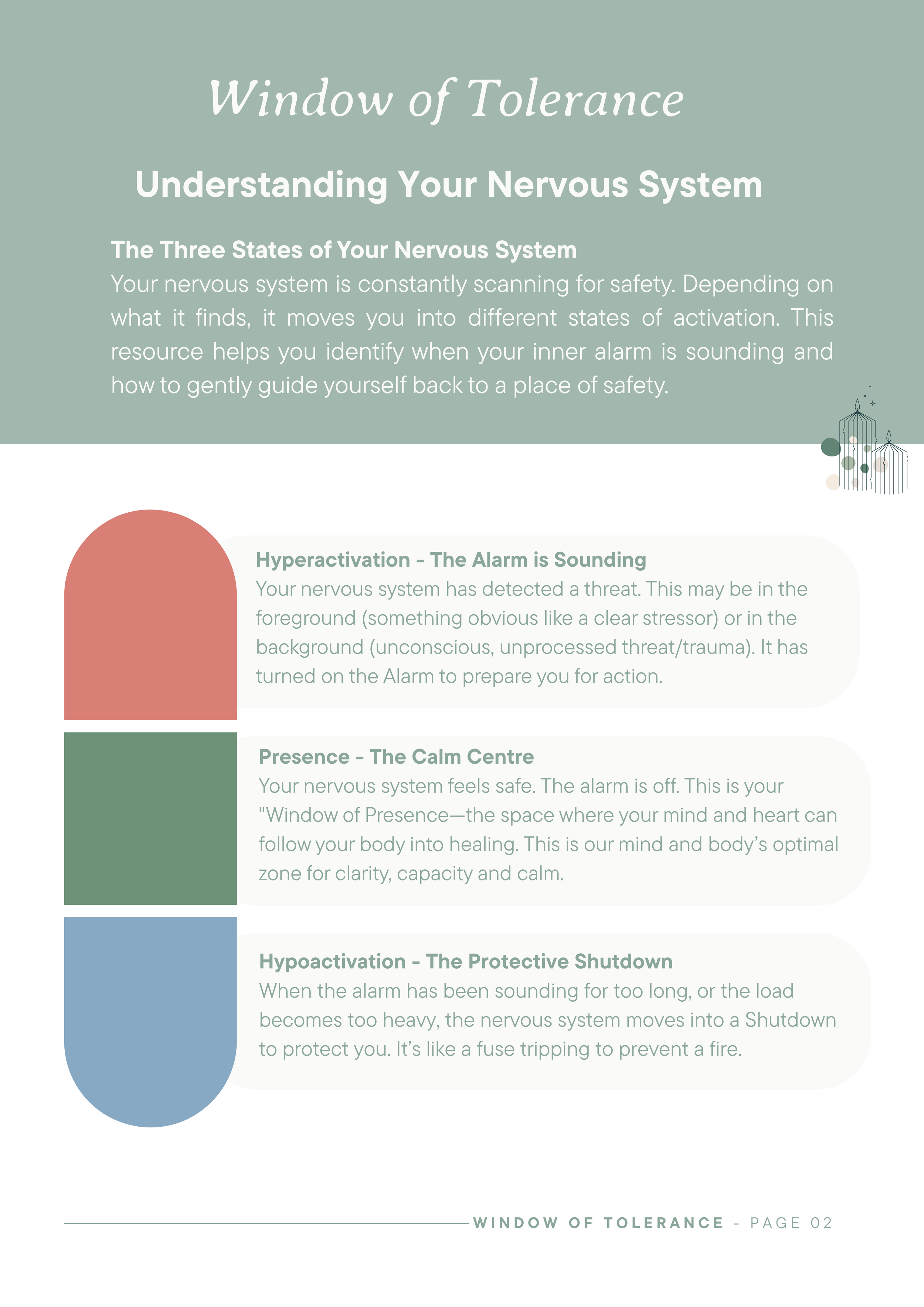 The Window of Tolerance: Your Nervous System Roadmap