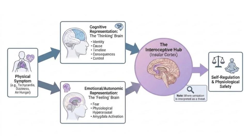 Common-Sense Model of Illness, Somatic Therapy for Chronic Pain, Nervous System Regulation.