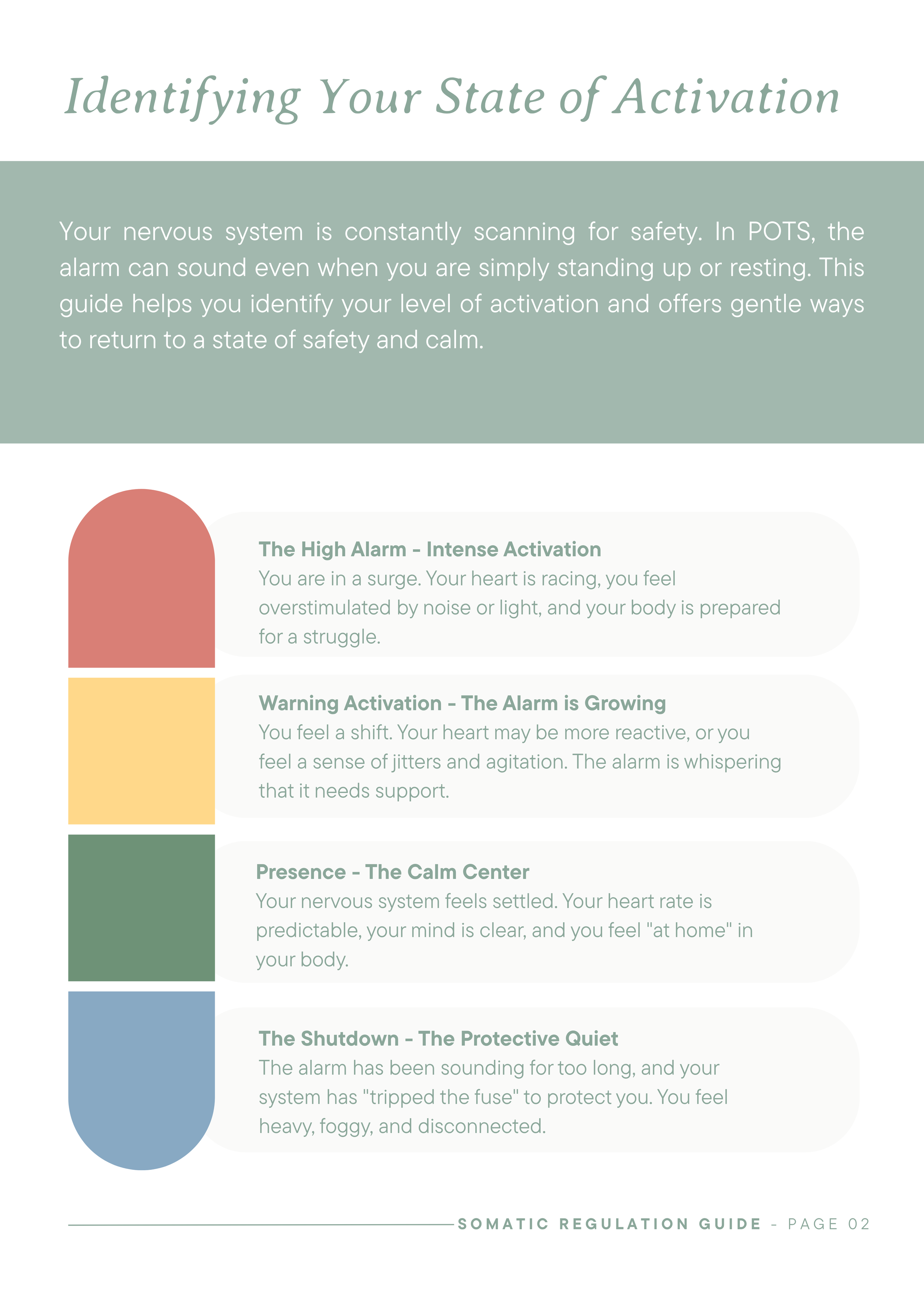 Somatic Regulation Master Guide (POTS Resource)