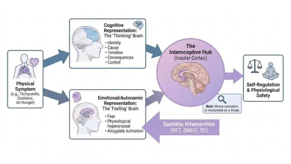 Diagram of Leventhal's Common-Sense Model of Illness showing parallel cognitive and emotional processing pathways