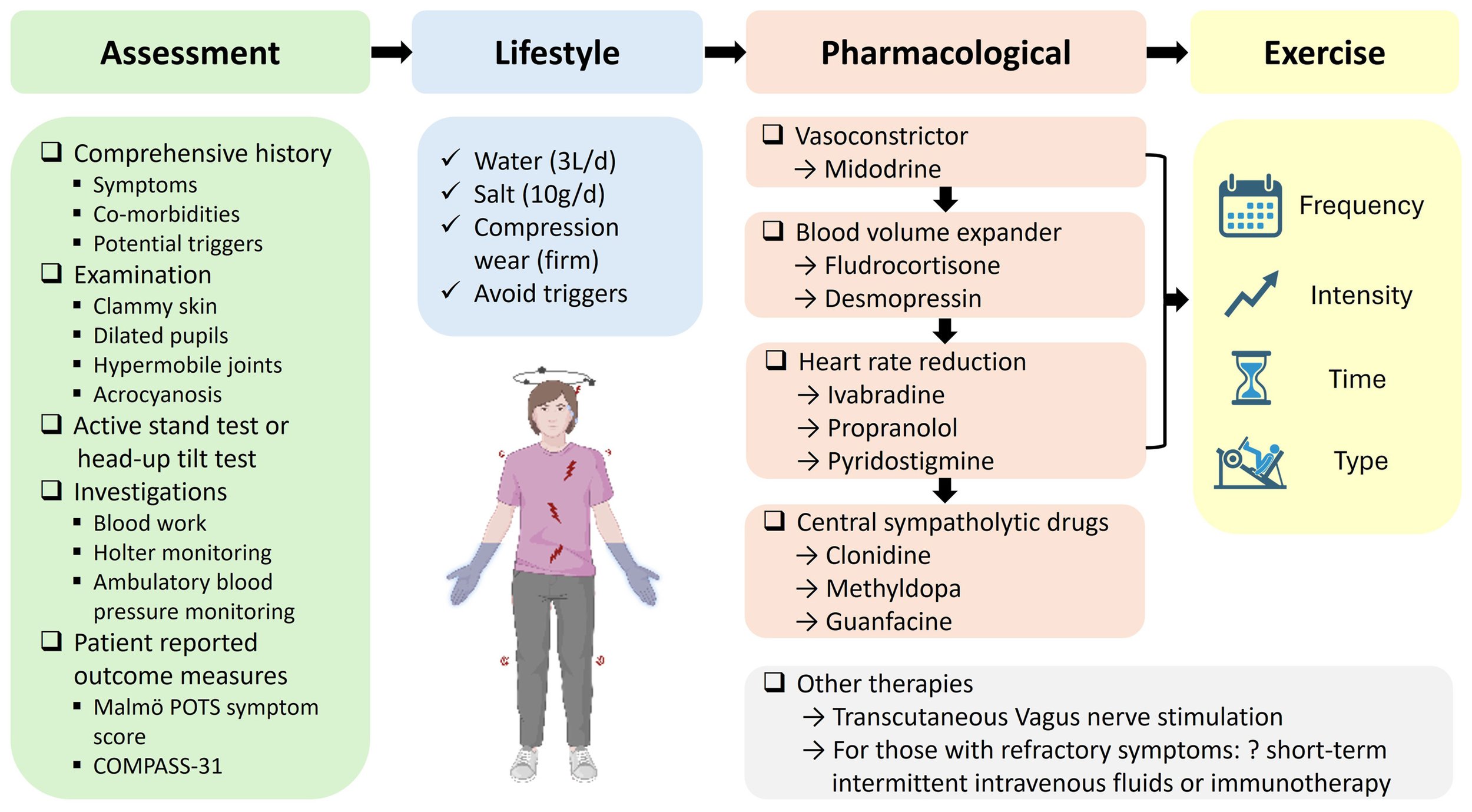 Infographic of the POTS medical management roadmap based on the 2025 Australian Registry study. It outlines four stages of care: Assessment, Lifestyle changes (salt/water), Pharmacological treatments (Midodrine/Ivabradine), and Exercise protocols