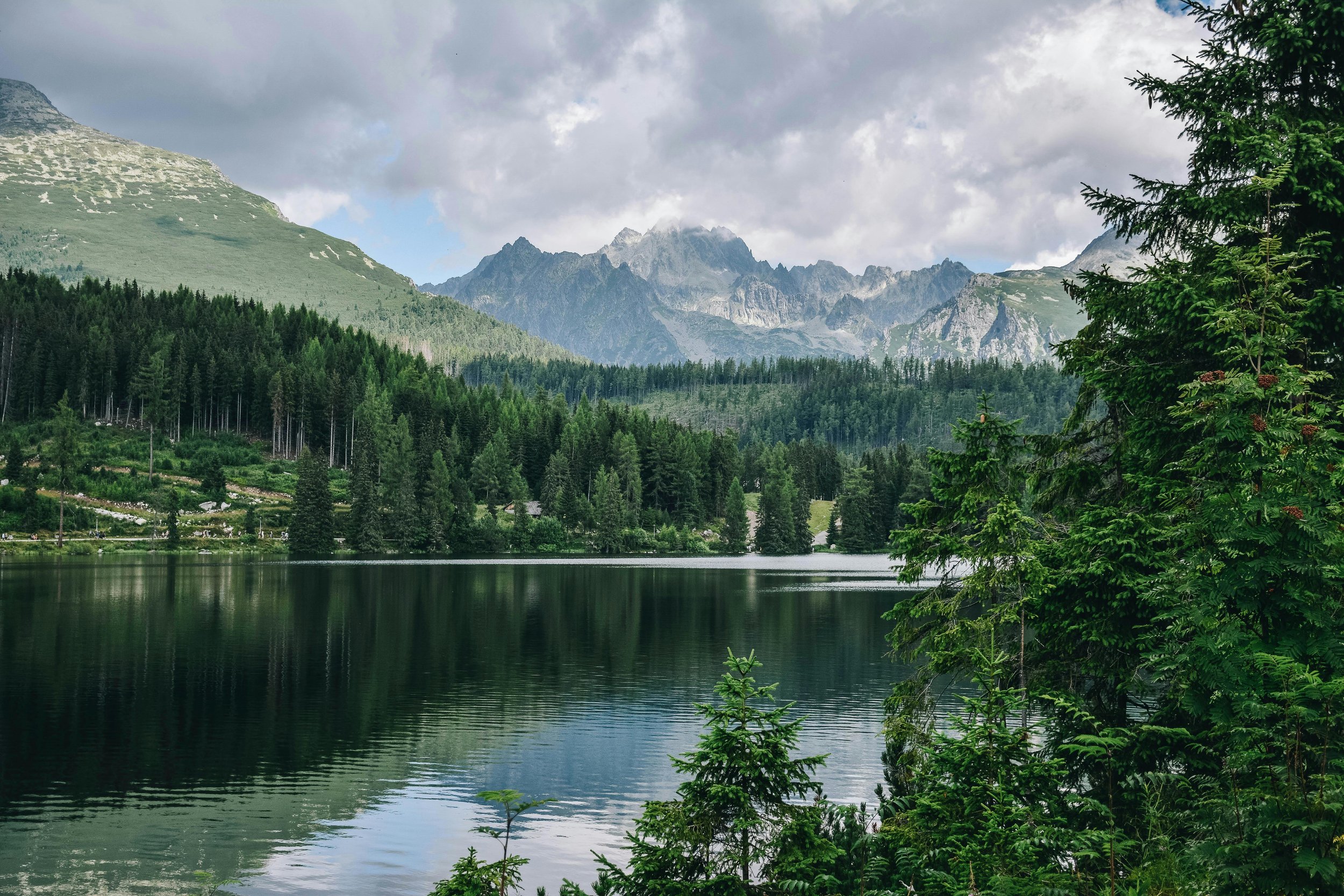 pexels-mareklevak-2275221.jpg