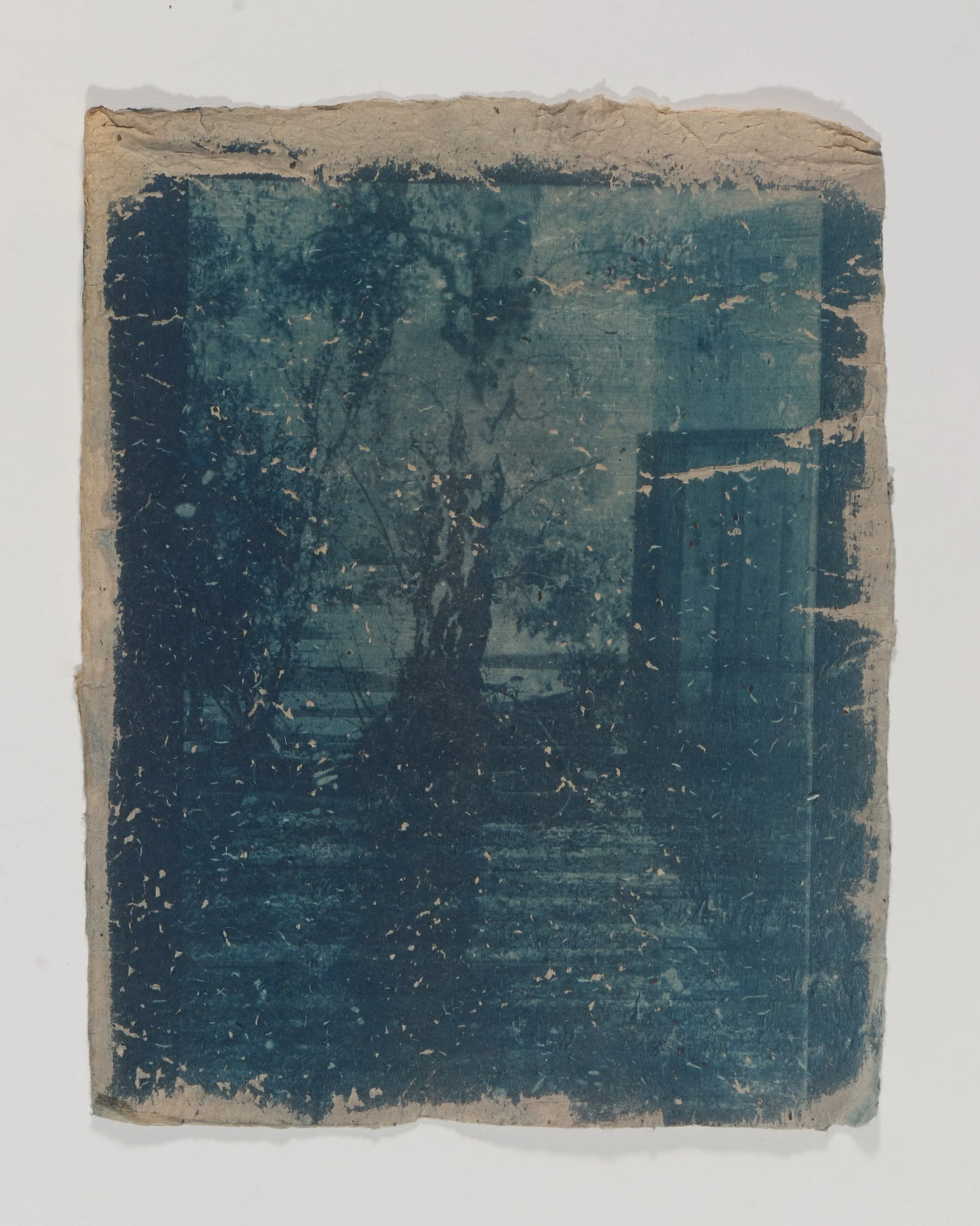 cyanotype on handmade abaca paper, 11 in x 8.5 in