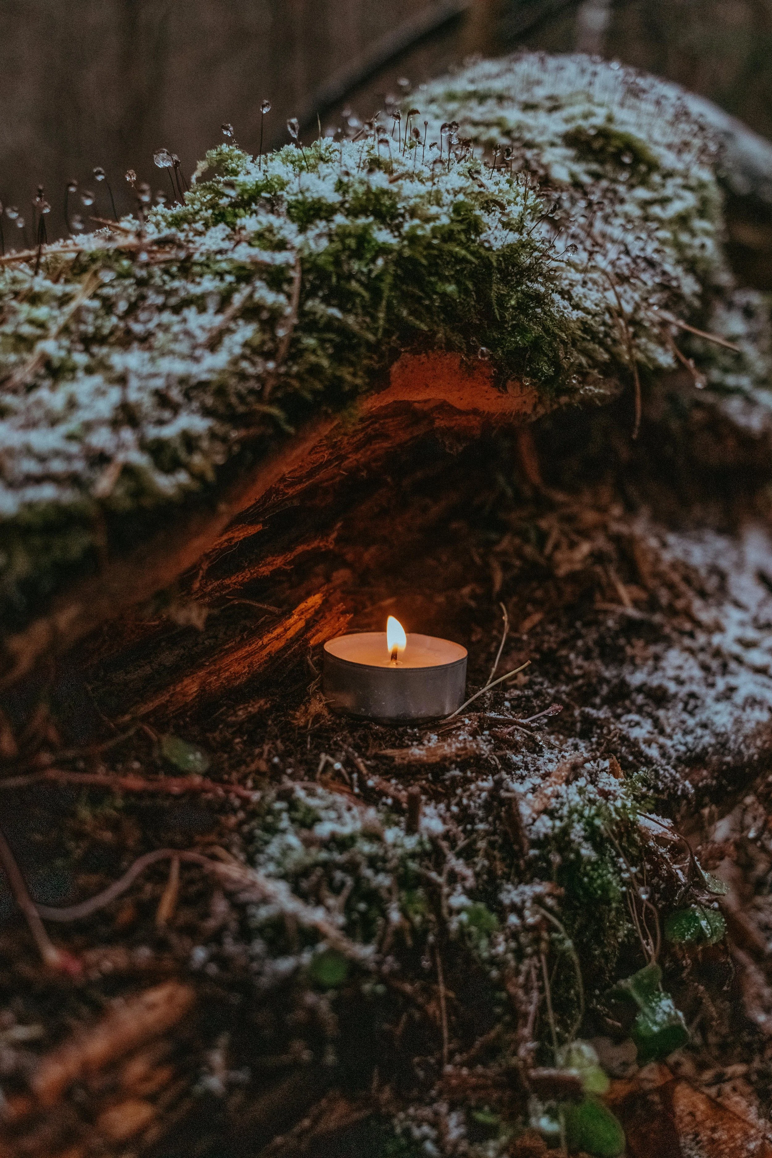 candle on winter log
