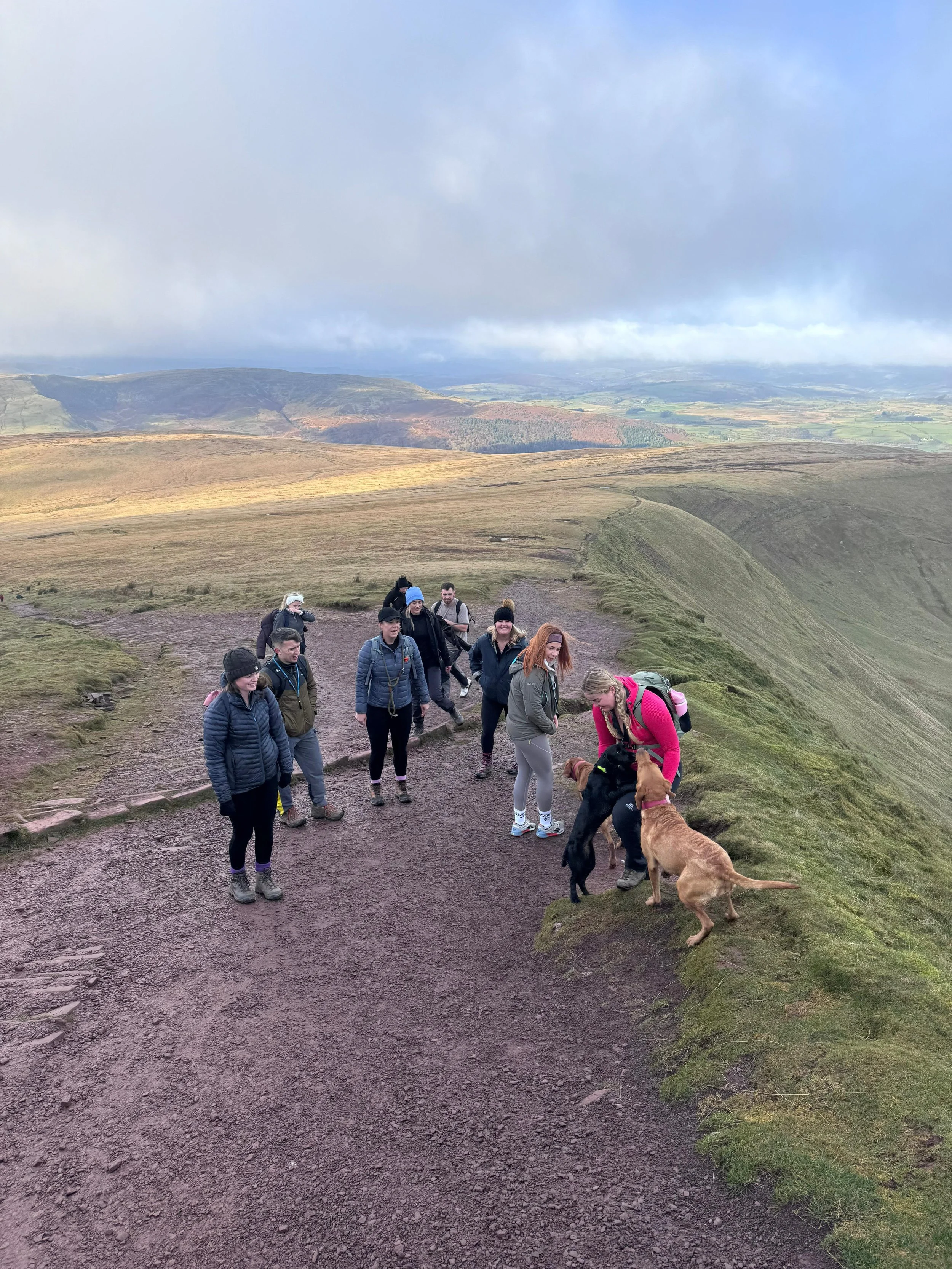 A group of hikers on a trail in a hilly, open landscape, with some dogs playing near a woman in a pink jacket, surrounded by rolling hills and cloudy sky.
