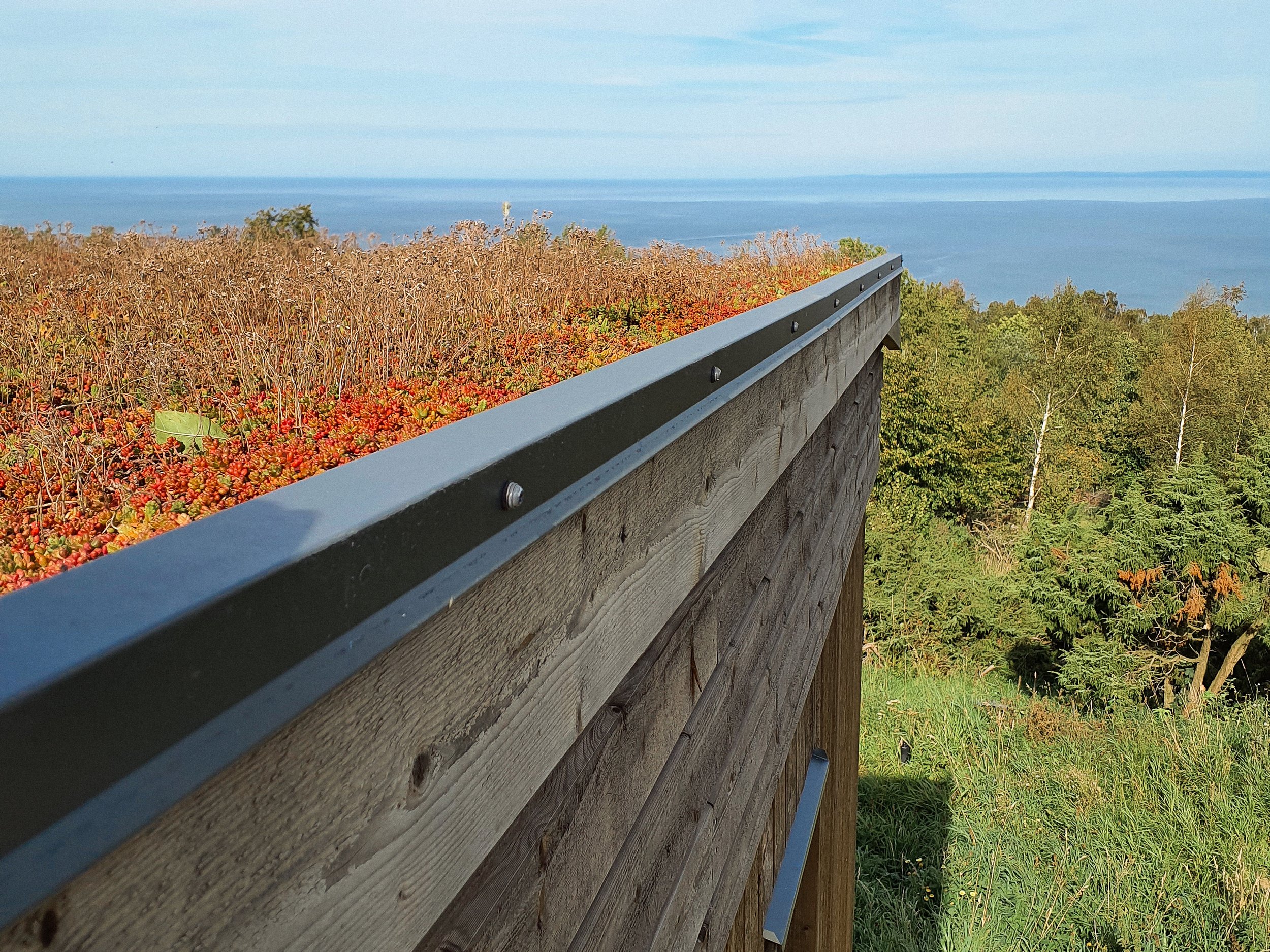 En utsikt över havet från en utsiktsplattform med trävägg och metallräcke i förgrunden, omgiven av gröna träd och buskar.