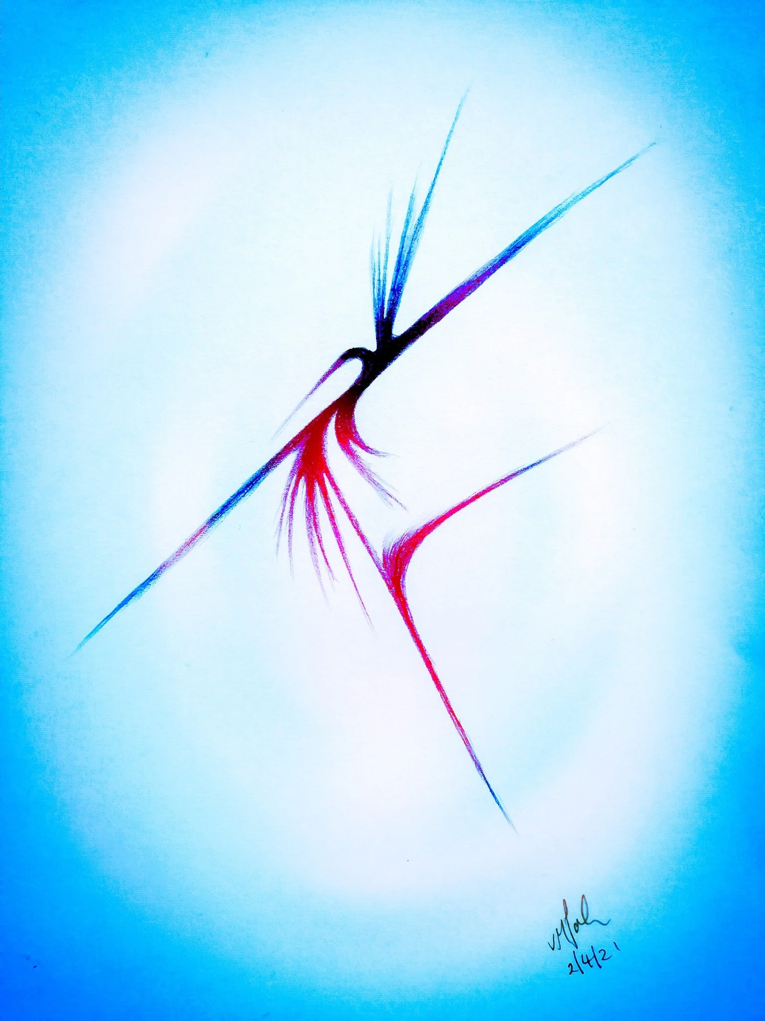 The Grace of Compassion