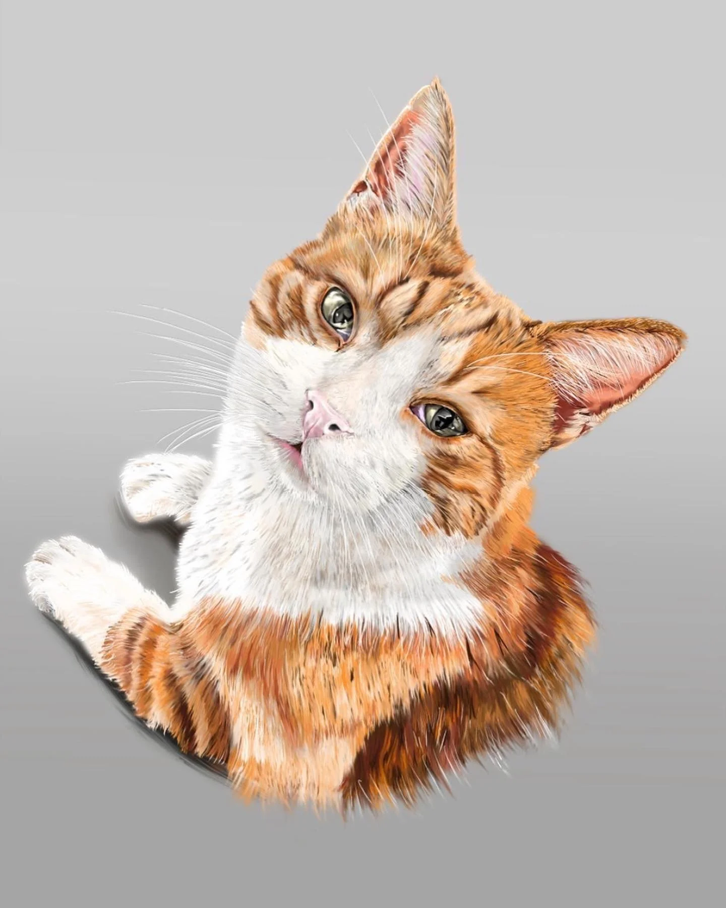 A digital illustration of a cat with a realistic face and a fluffy body, sitting on a grey background.