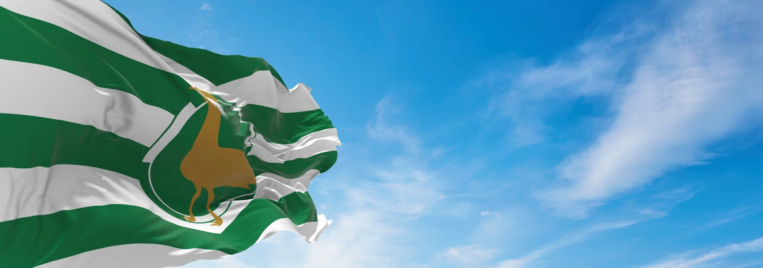 I designed the flag for Wiltshire with Mike Prior which was adopted by the county in 2007.