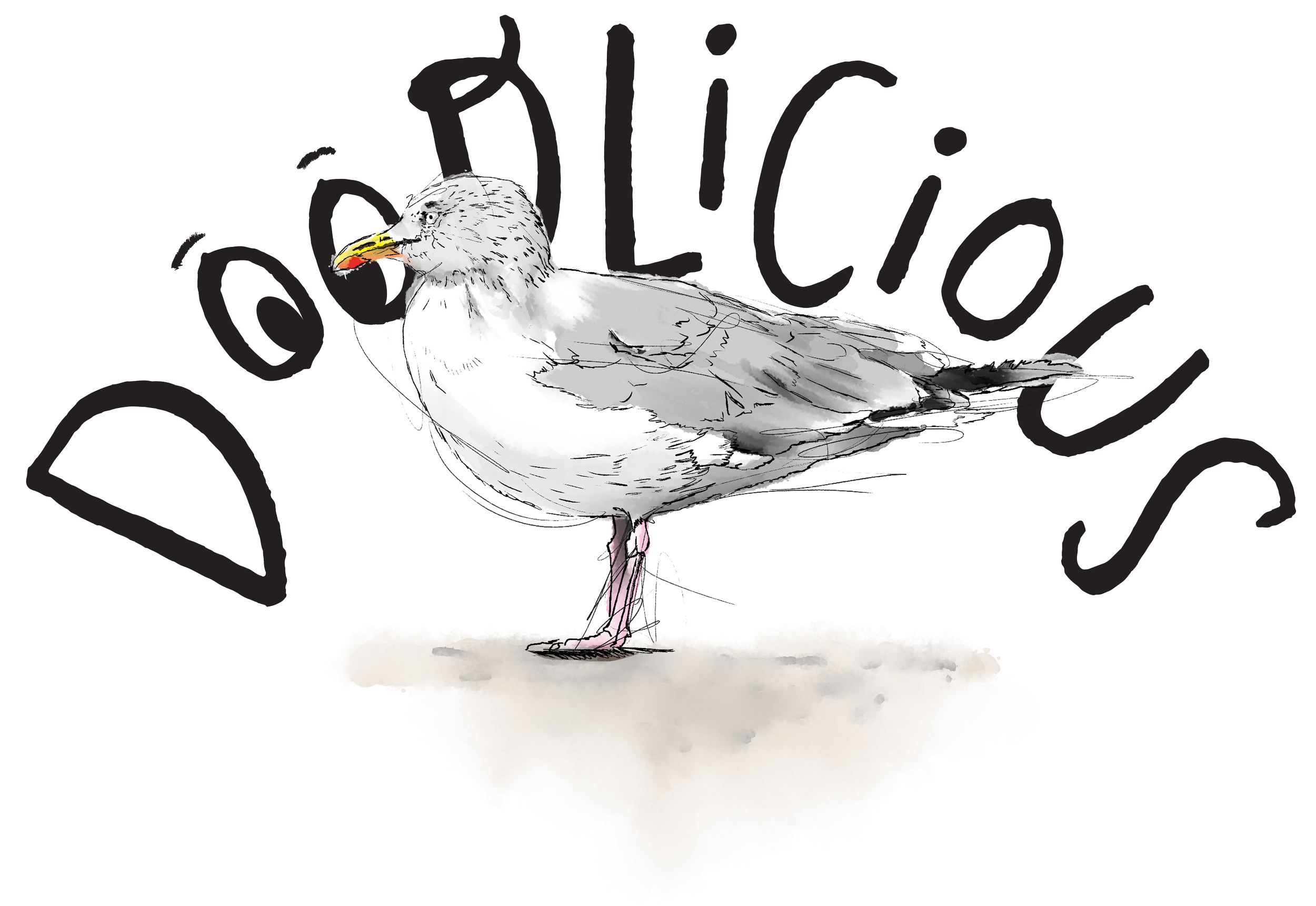 A seagull in front of the Doodlicious text