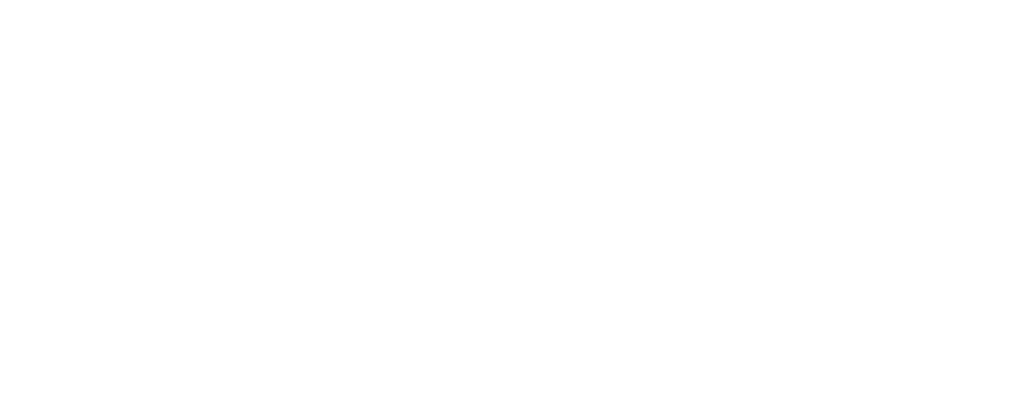BAR VIAGGIO