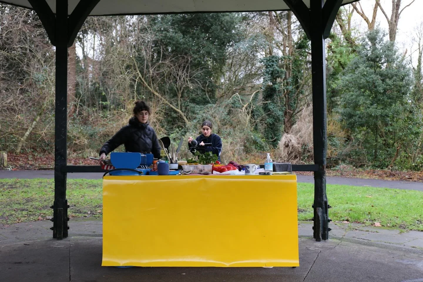 Our January Park Kitchen was in Springfield Park Bandstand in Hackney. Despite the cold and the rain we were joined by many wonderful locals; A chef named Ulysses from Sao Paolo; a woman living in London for the first time after her husband started r