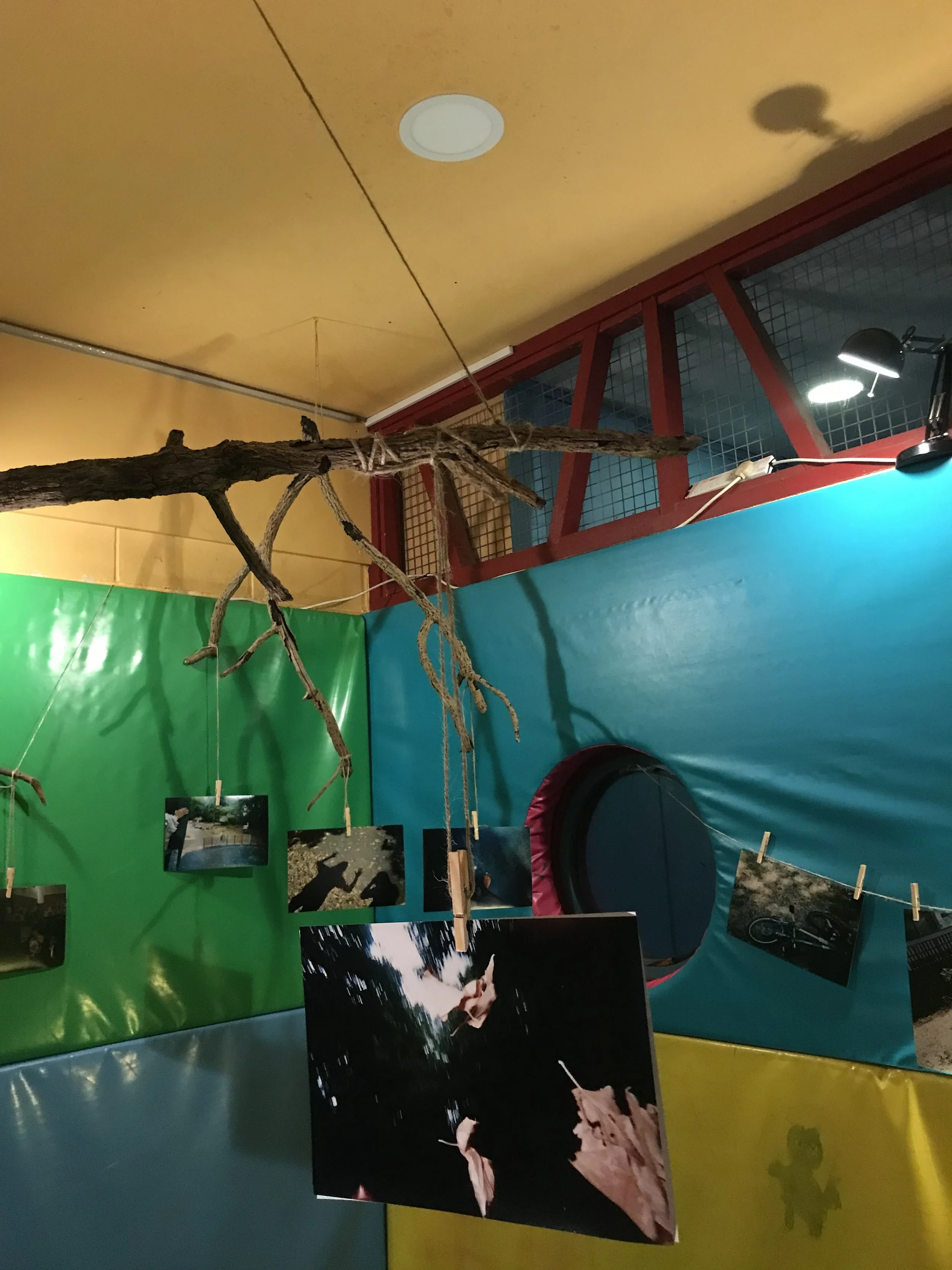 A hanging display with several small photographs attached to a string by clothespins. Behind the photos, there is a carved wooden branch suspended from the ceiling. The background features colorful walls with a green lower section, a yellow upper sec