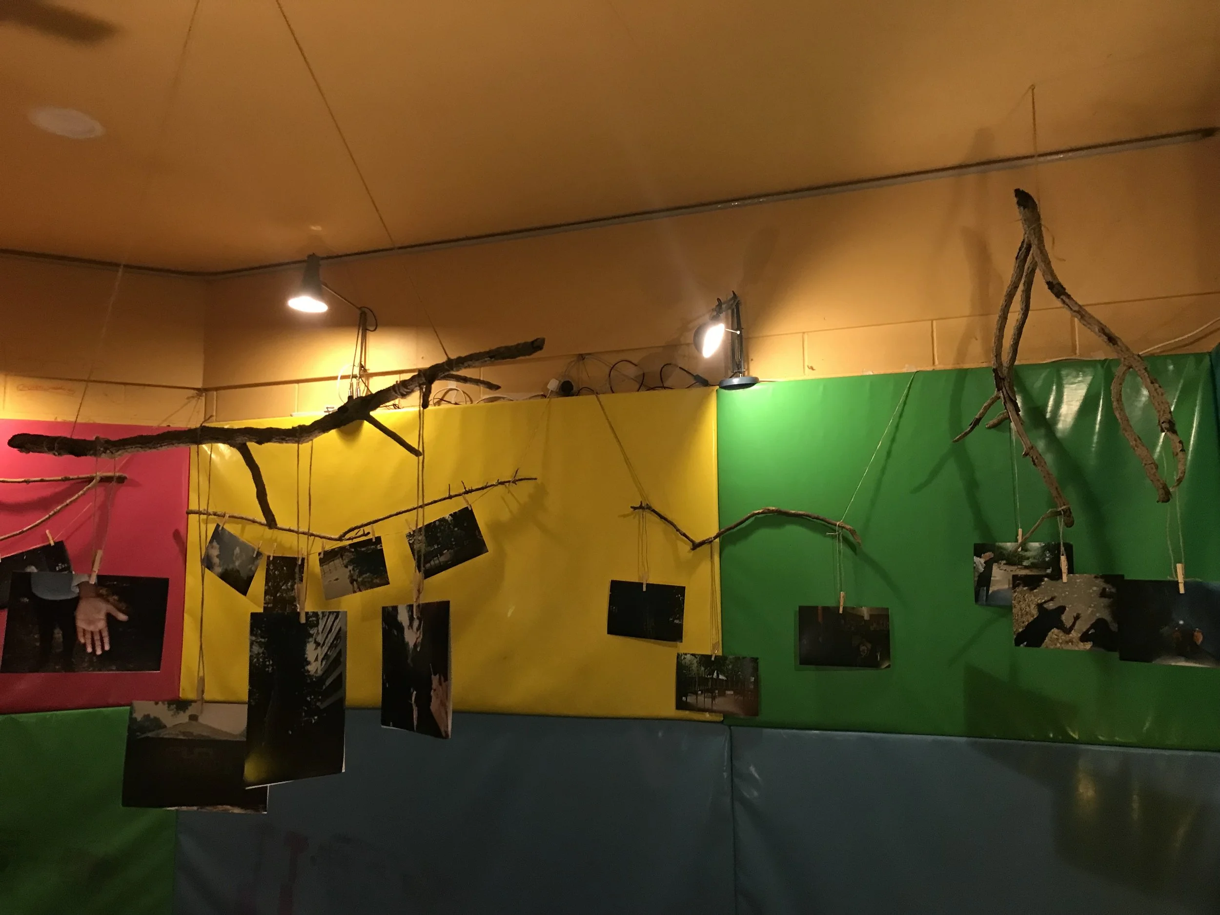 Colorful indoor art display with hanging photographs and branches against a backdrop of red, yellow, green, and black panels.