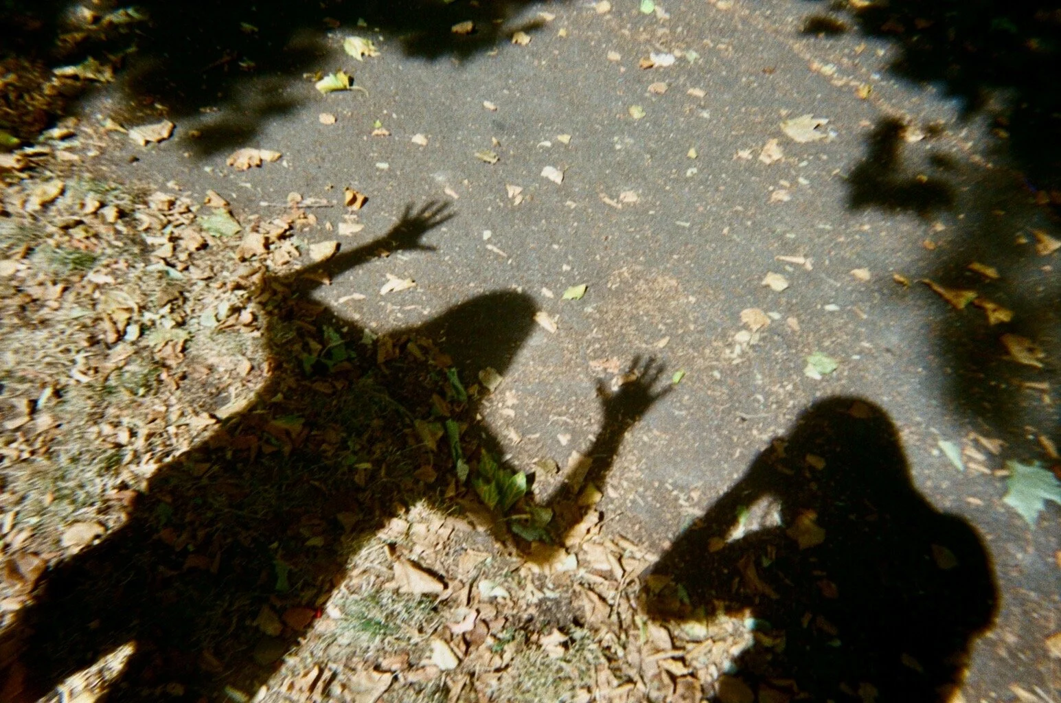 Shadows of three children on a leaf-covered ground and asphalt, with one child's hands pressed against the ground, appearing to reach out.