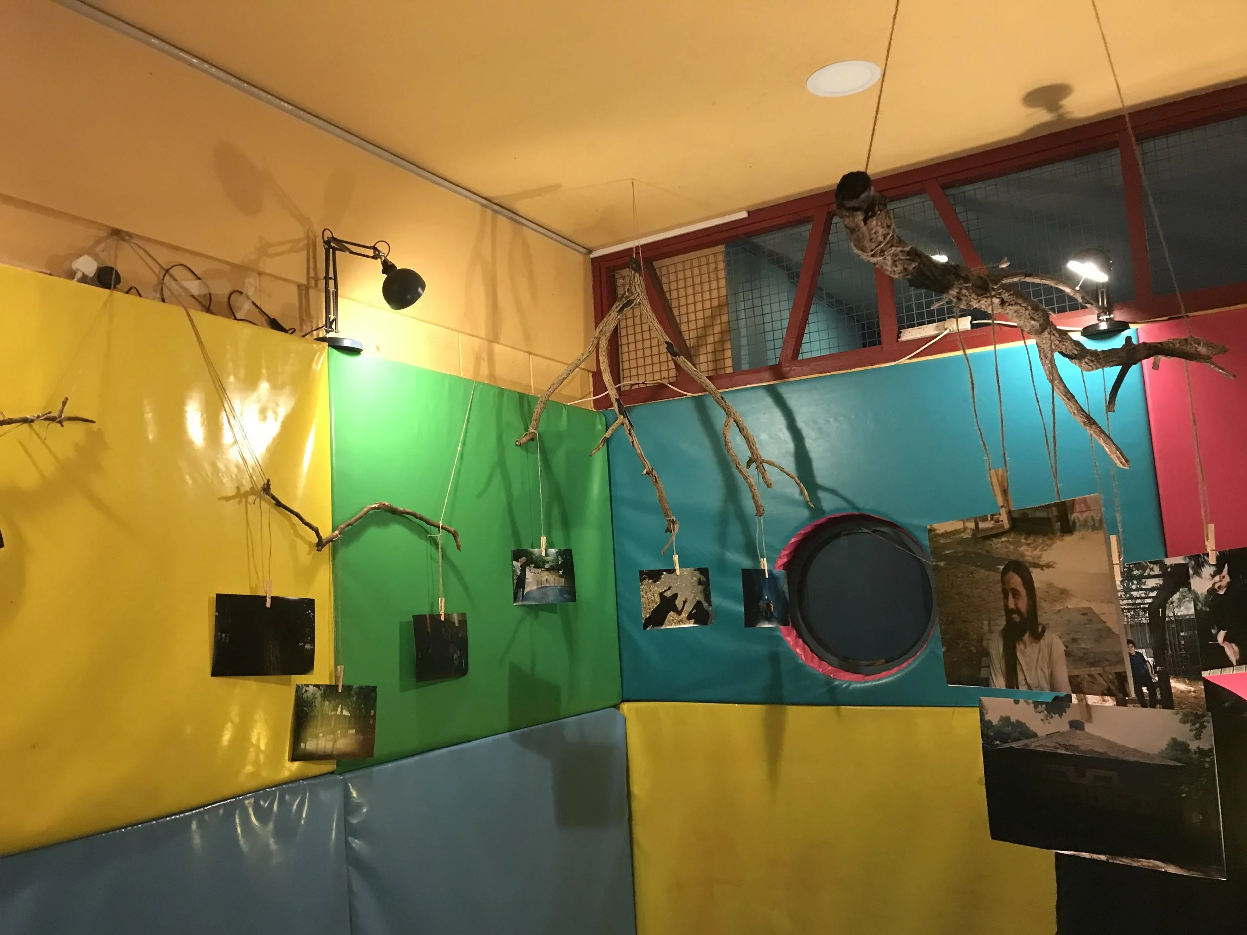 Colorful indoor climbing structure with tree branches, climbing hole, and photos hanging on a wall.