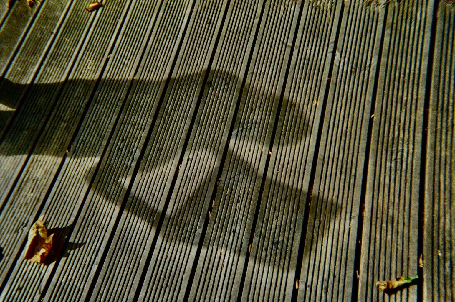 Close-up of a wooden deck with scattered fallen leaves and shadow patterns.