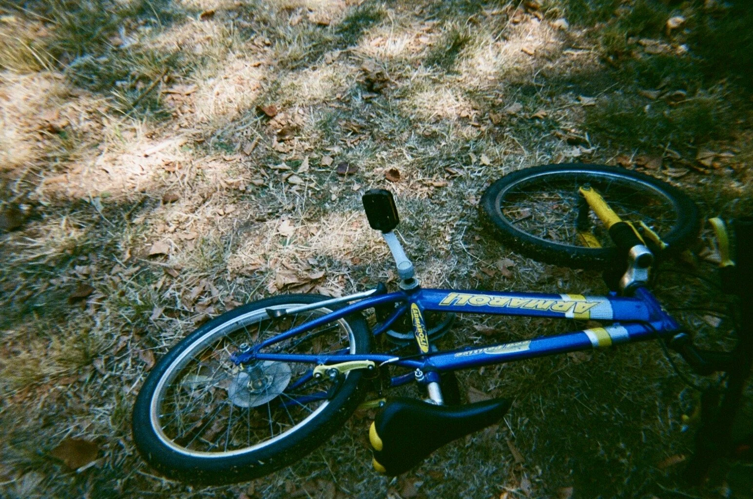 A blue and yellow children's bicycle lying on the dirt ground with dry leaves and grass, partially visible.
