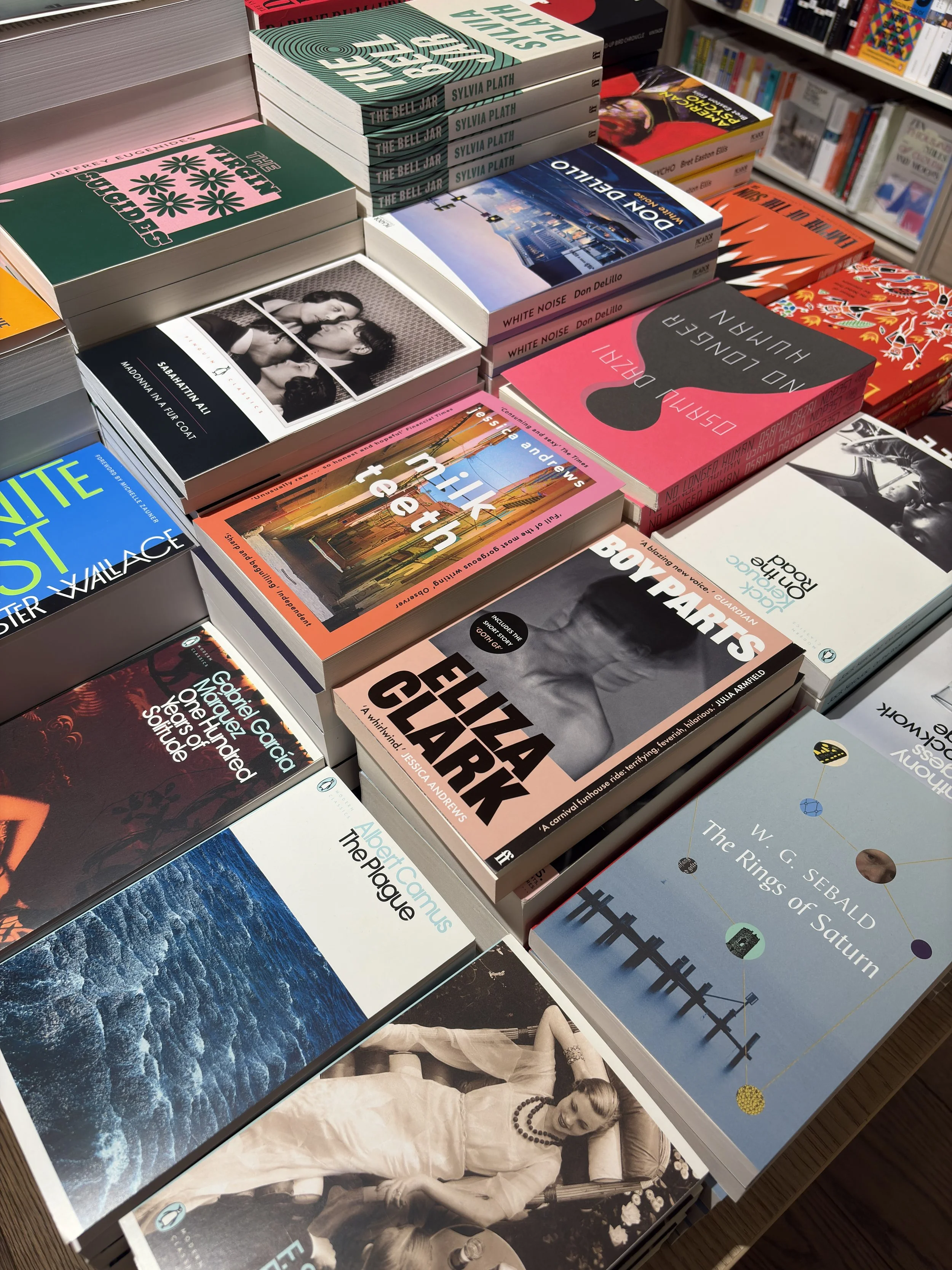 WOMEN WRITING THE NORTH