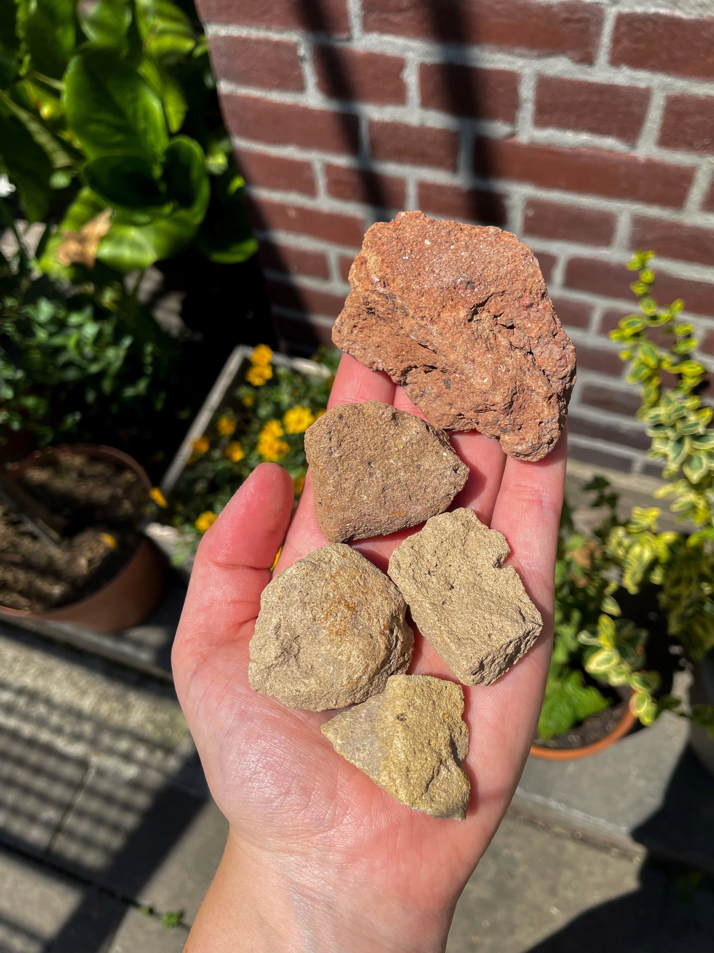 Stenen uit Texel 2024