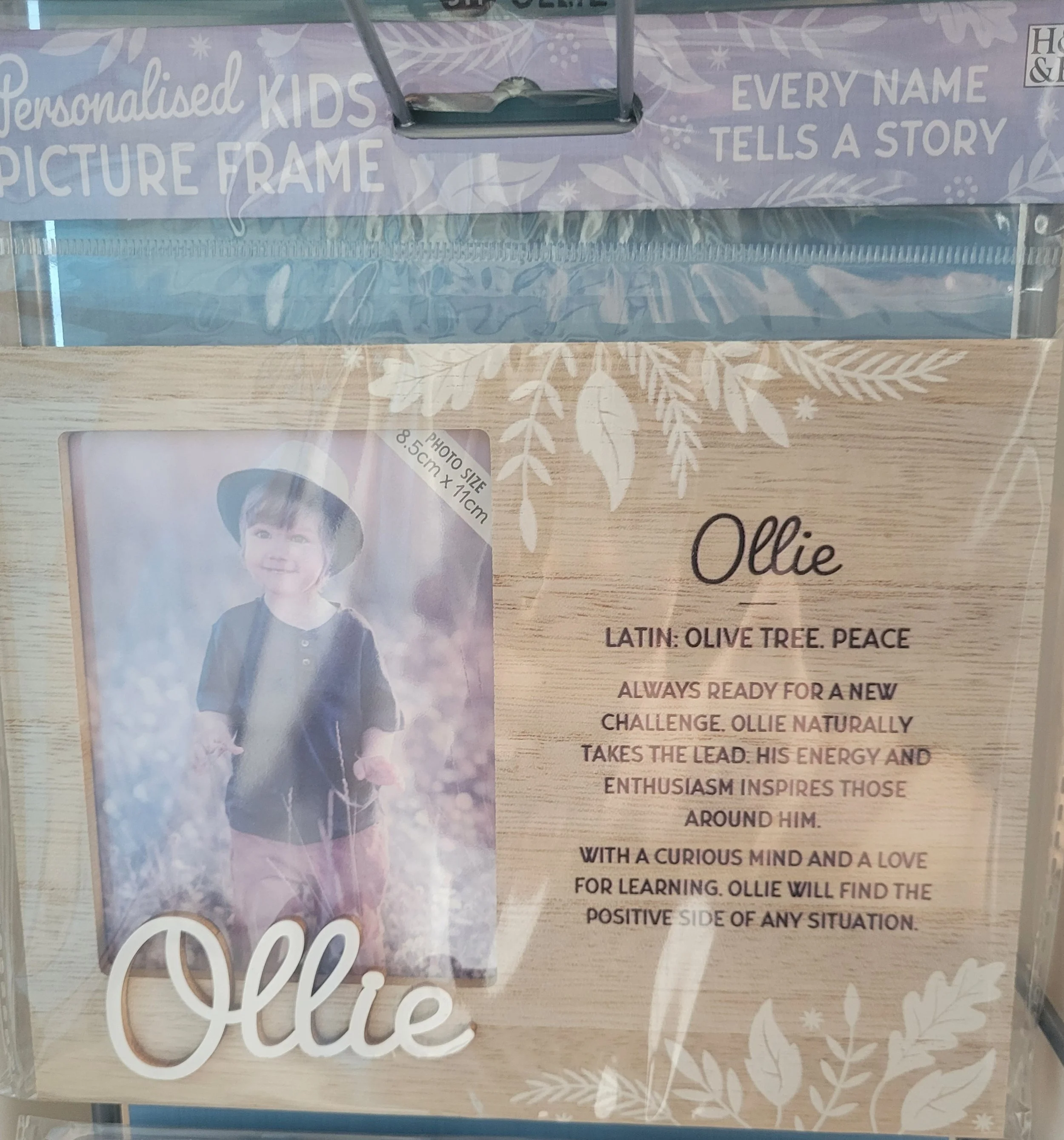 OLLIE.jpg