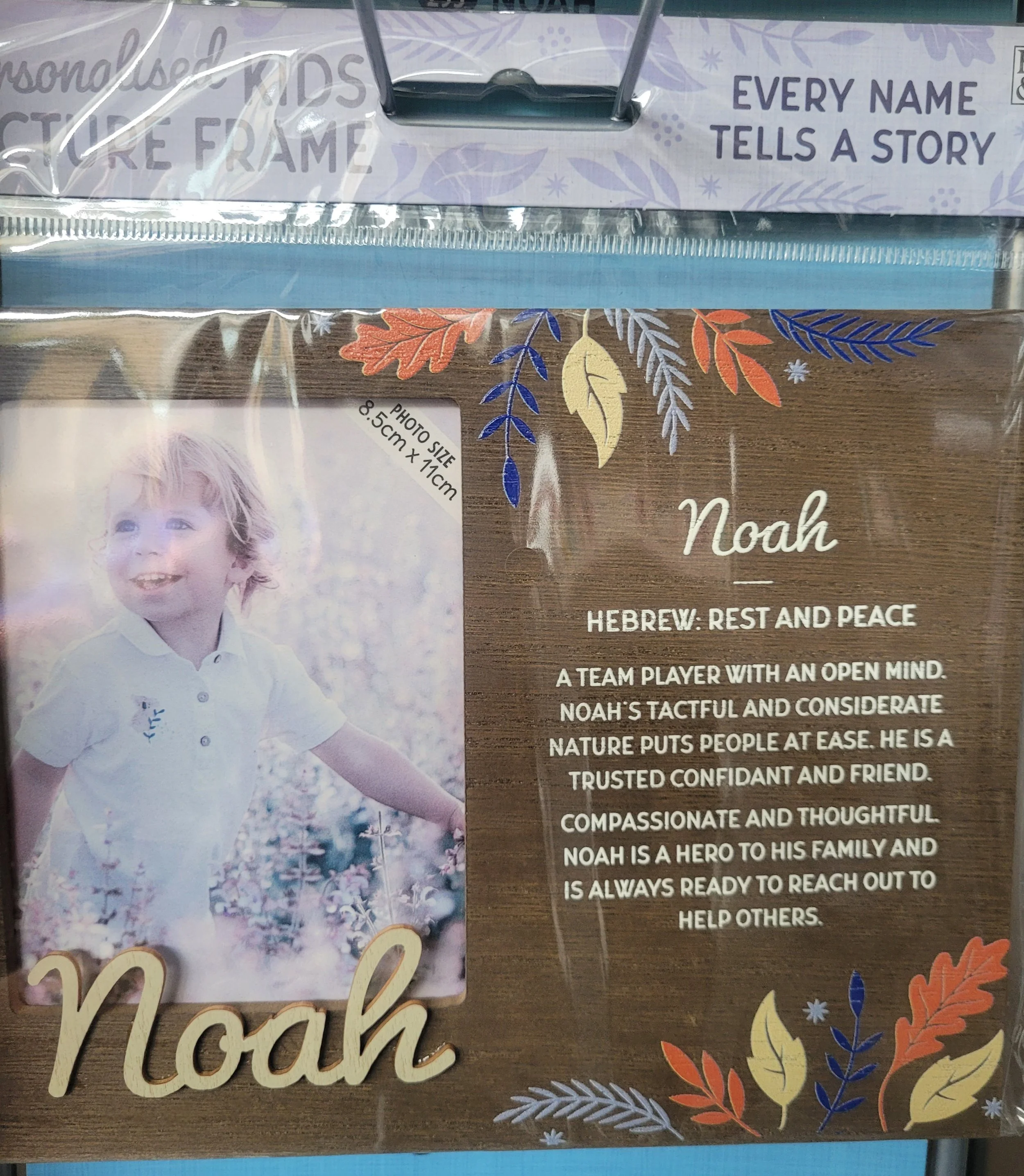 NOAH.jpg