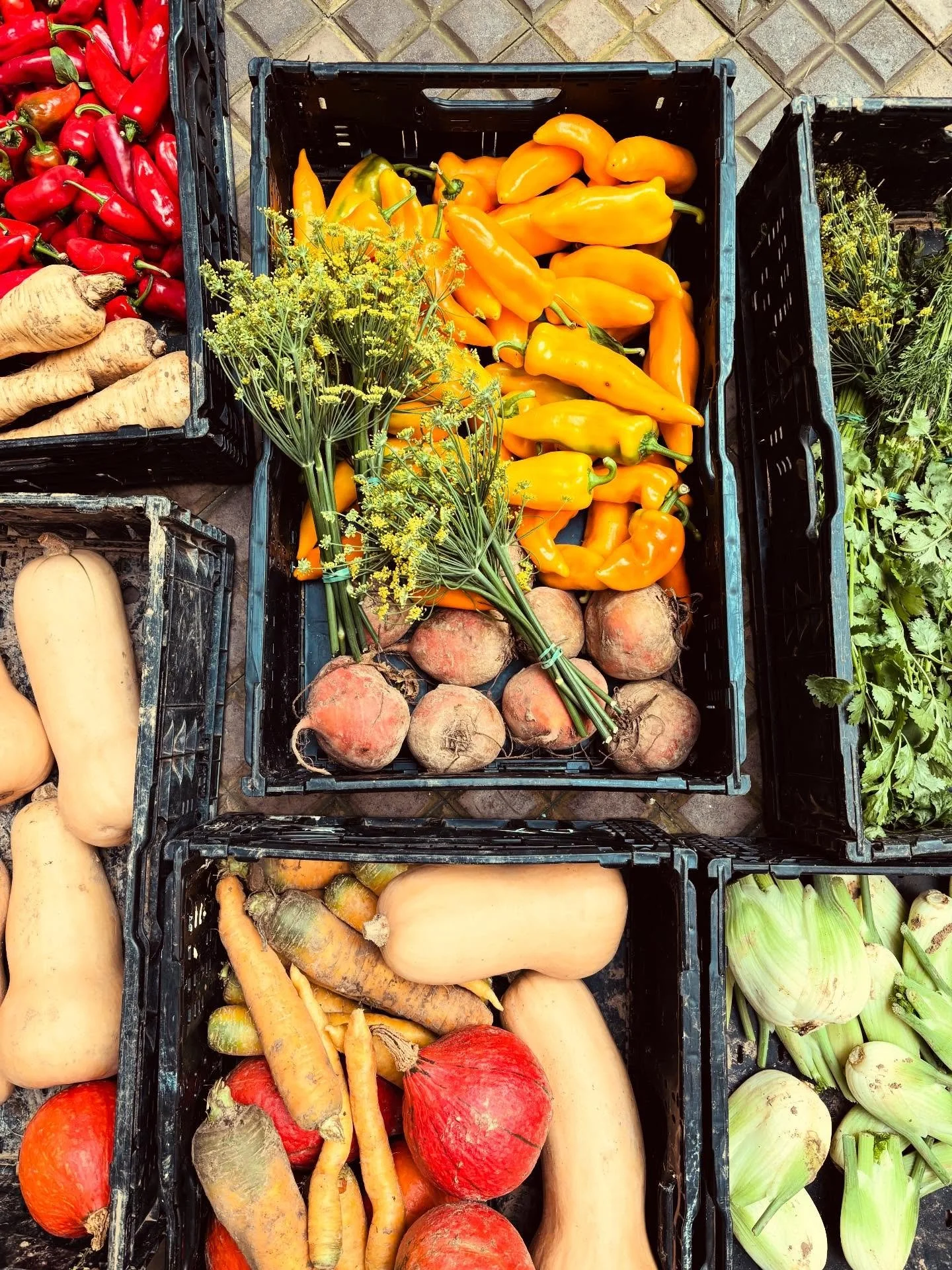 &laquo;Ici les l&eacute;gumes sont partout, et diablement gourmands,&raquo; merci @esterelle et @teleramasortir ! 🧡&nbsp;&laquo;&nbsp;Le potiron se fait beignet l&eacute;ger, cach&eacute; sous une neige de scamorza fum&eacute;e r&acirc;p&eacute;e et