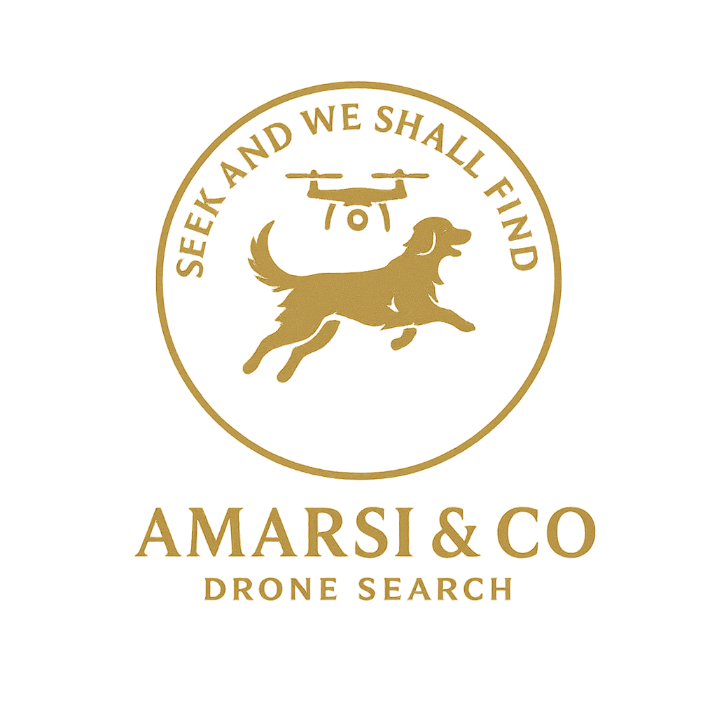 Gold logo with a circle containing a drone, a running dog, and the text "Seek and we shall find". Below, the words "AMARSI & CO" and "DRONE SEARCH" are displayed in gold against a black background.