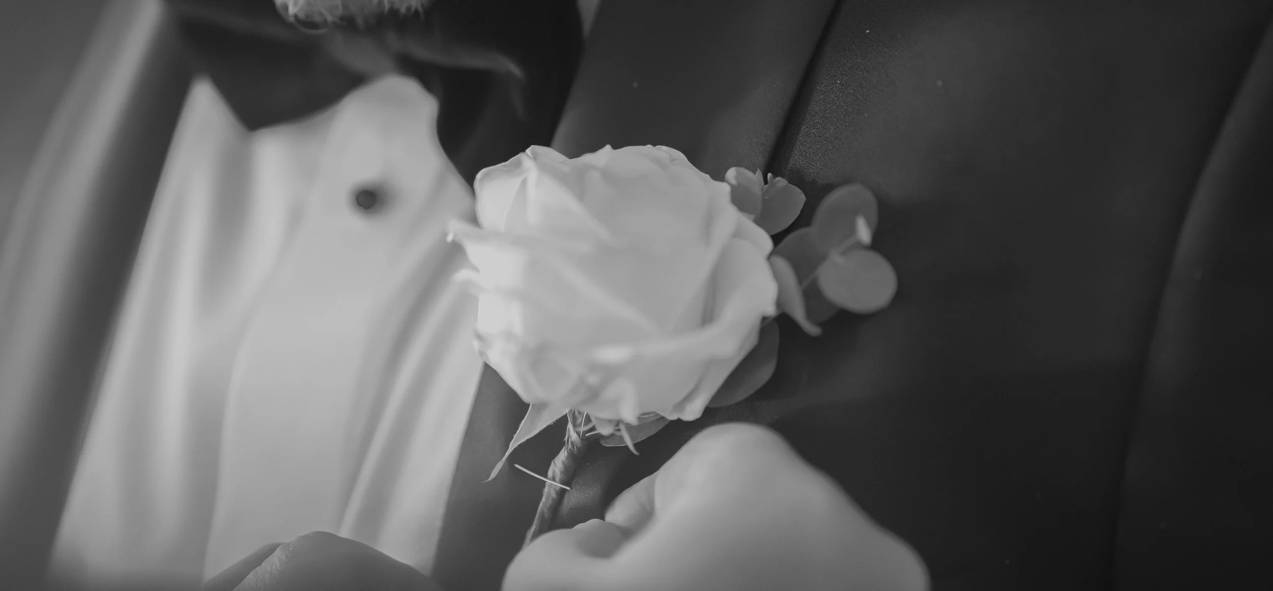 A white rose lying on a dark surface with some small circular flowers next to it.