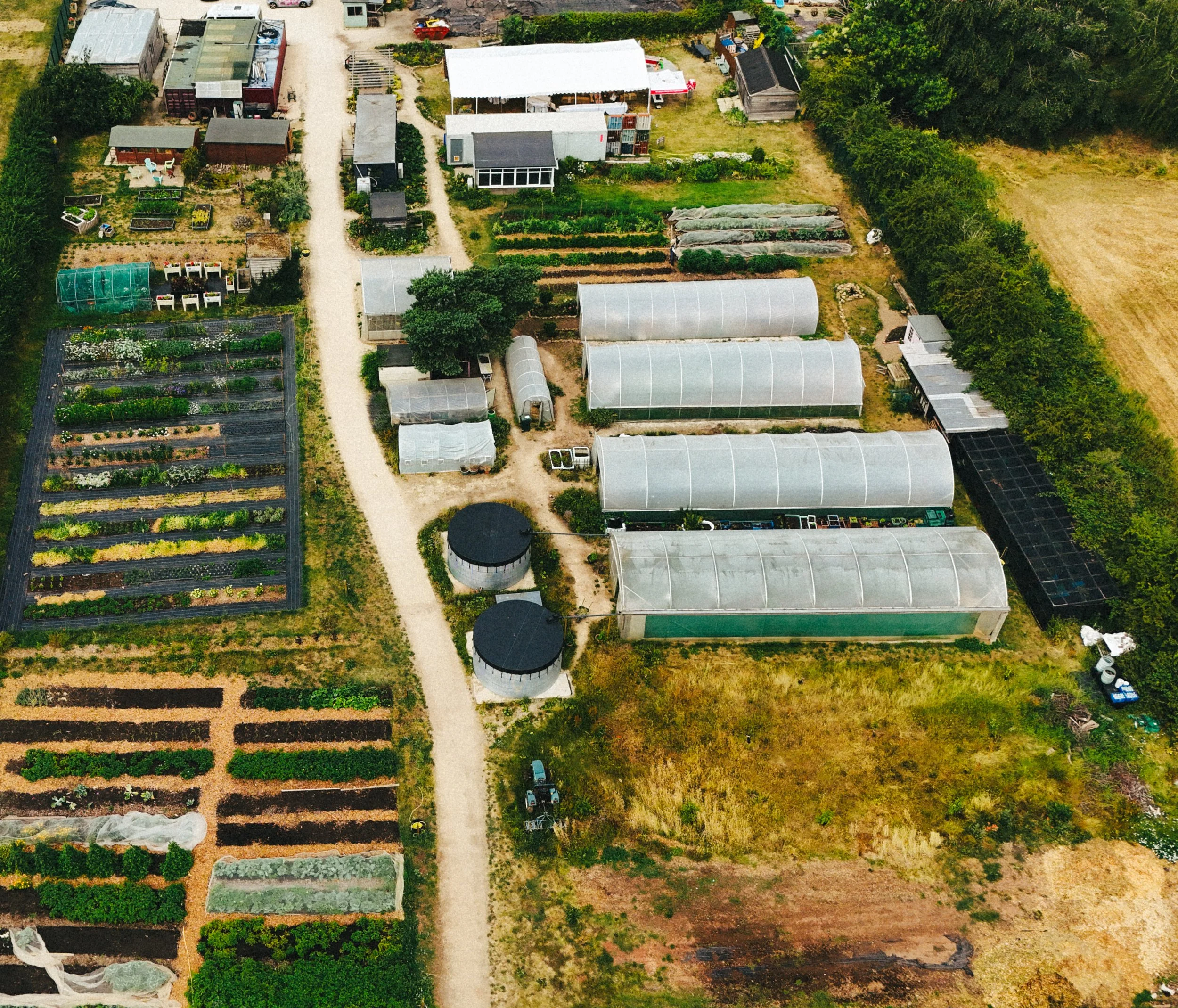 DJI_20260711110739_0049_D.jpg
