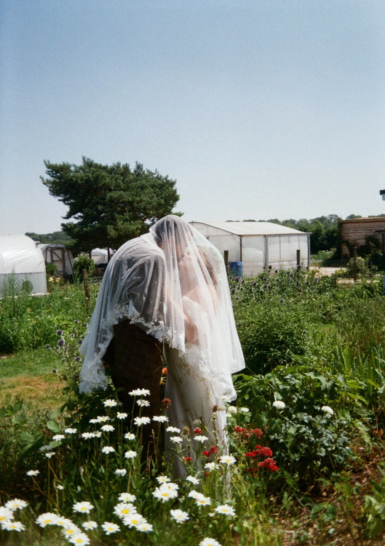 Outdoor summer wedding at Rhubarb farm