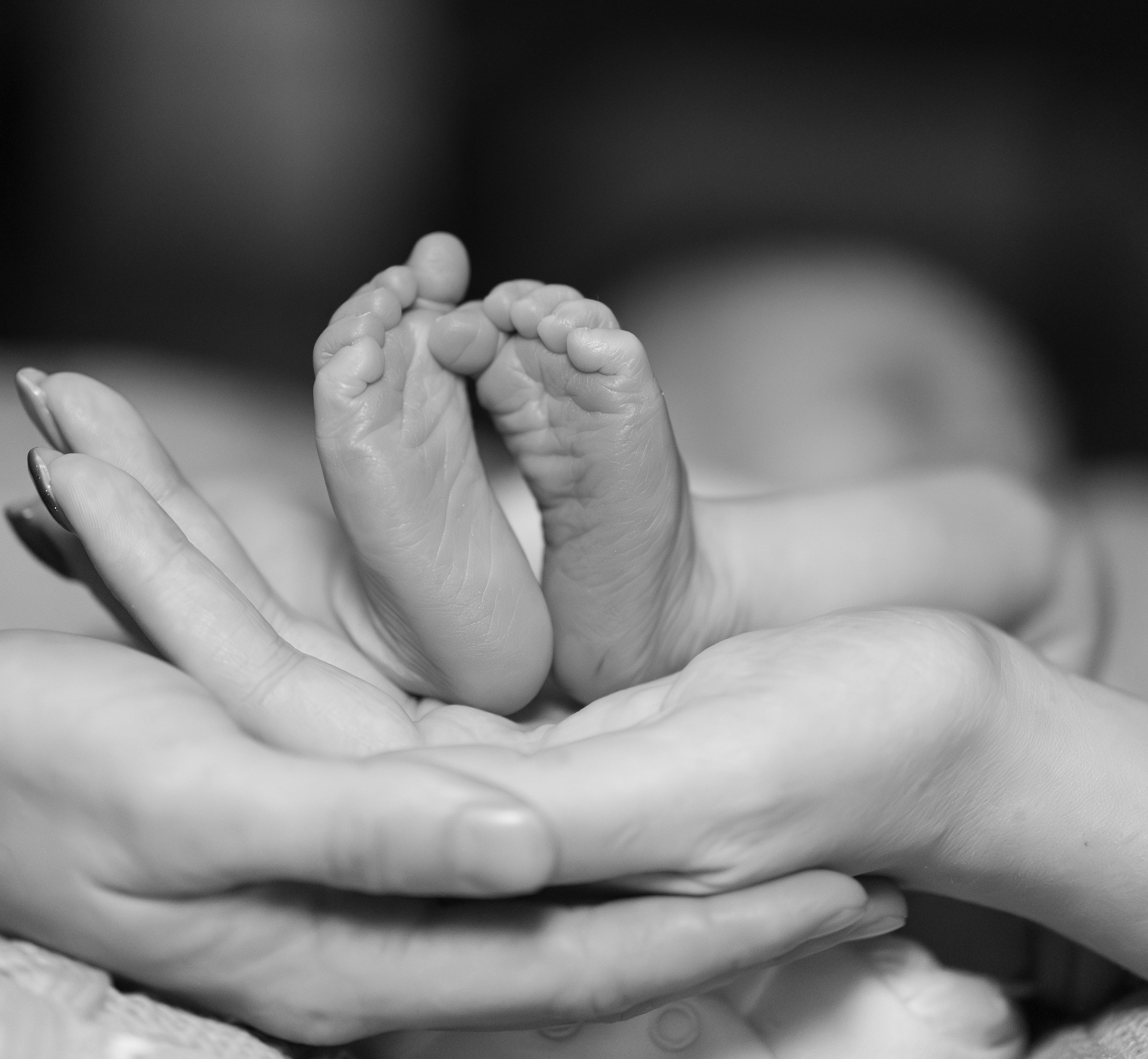 An adult hand gently holding a tiny baby hand in black and white.