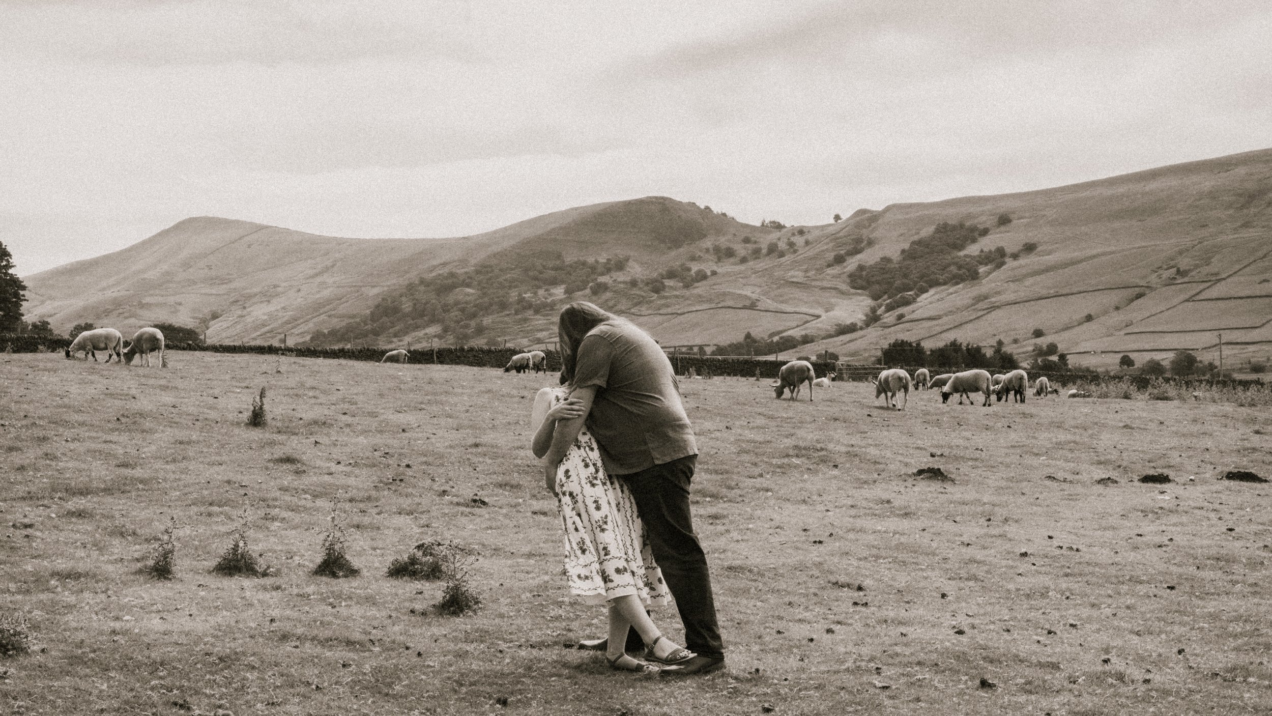 A couple hugging in a field with sheep grazing in the background, rolling hills in a rural landscape, black and white photo.