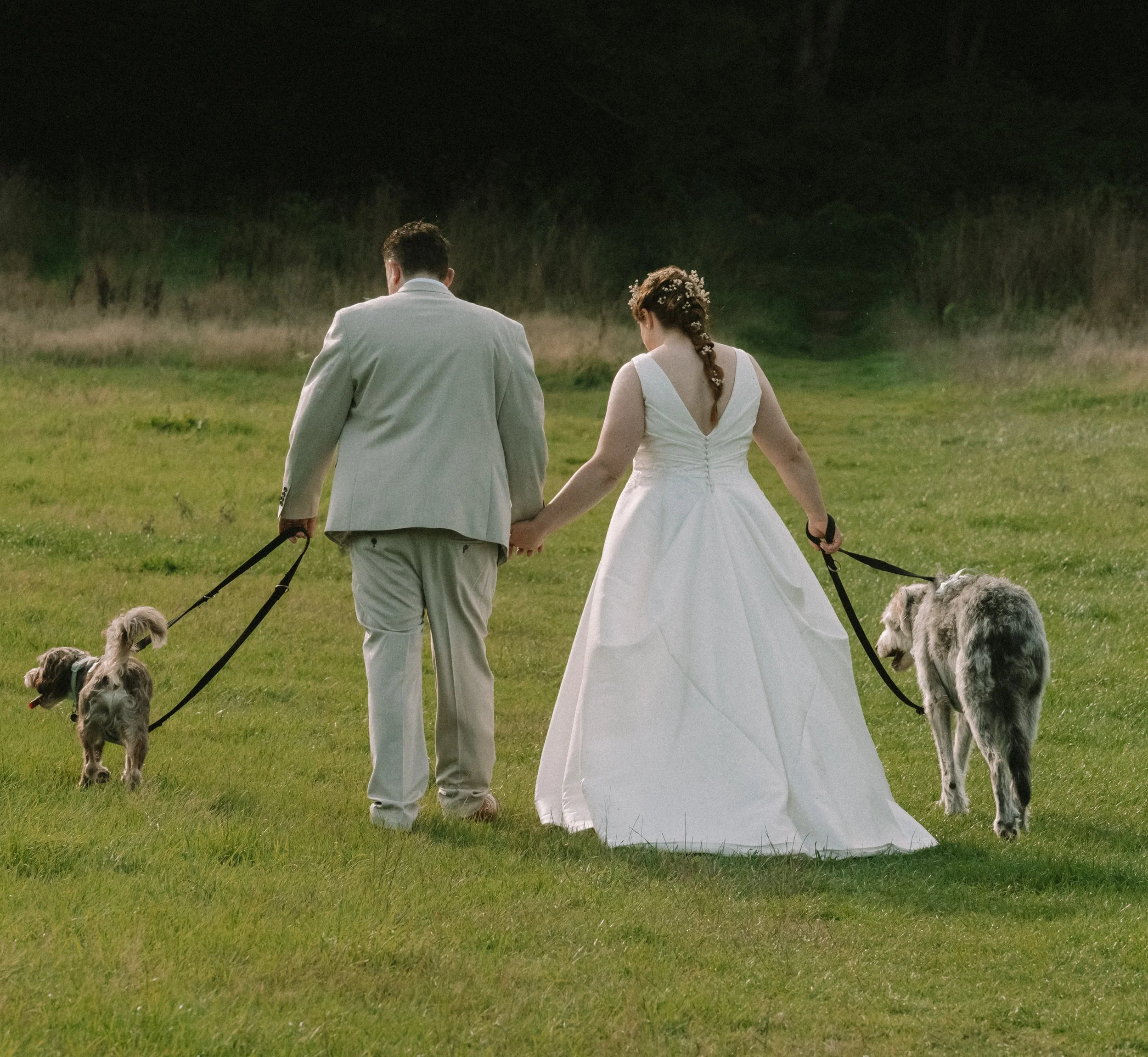 A bride and groom walking through a field on their wedding day with their 2 dogs, at the Glade, Rosliston Foristry Centre.