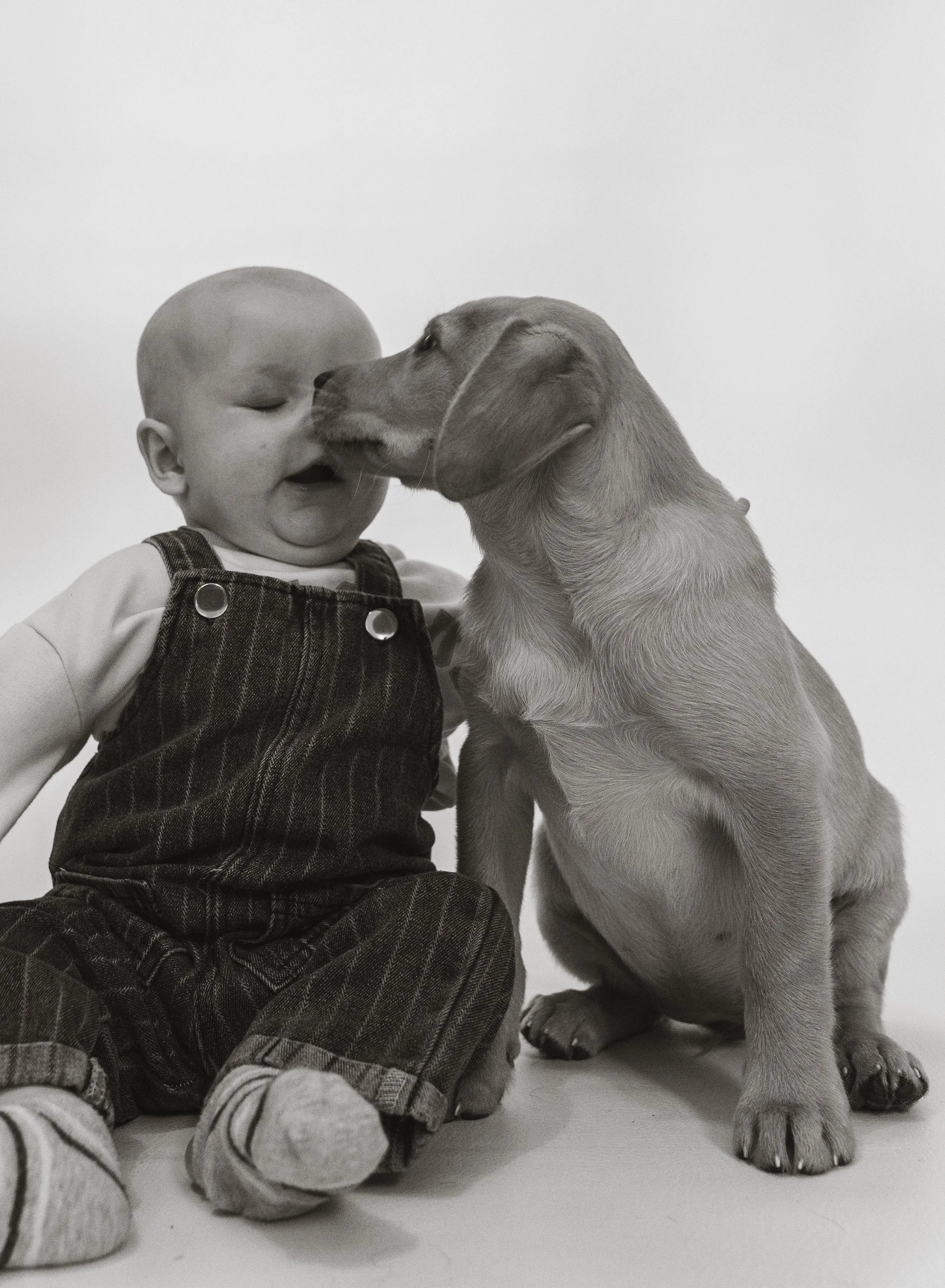A young child with a shaved head and striped pants is sitting beside a large dog. The dog and child are touching noses, and the dog is sitting upright with paws on the ground. The background is plain, and the photo is in black and white.