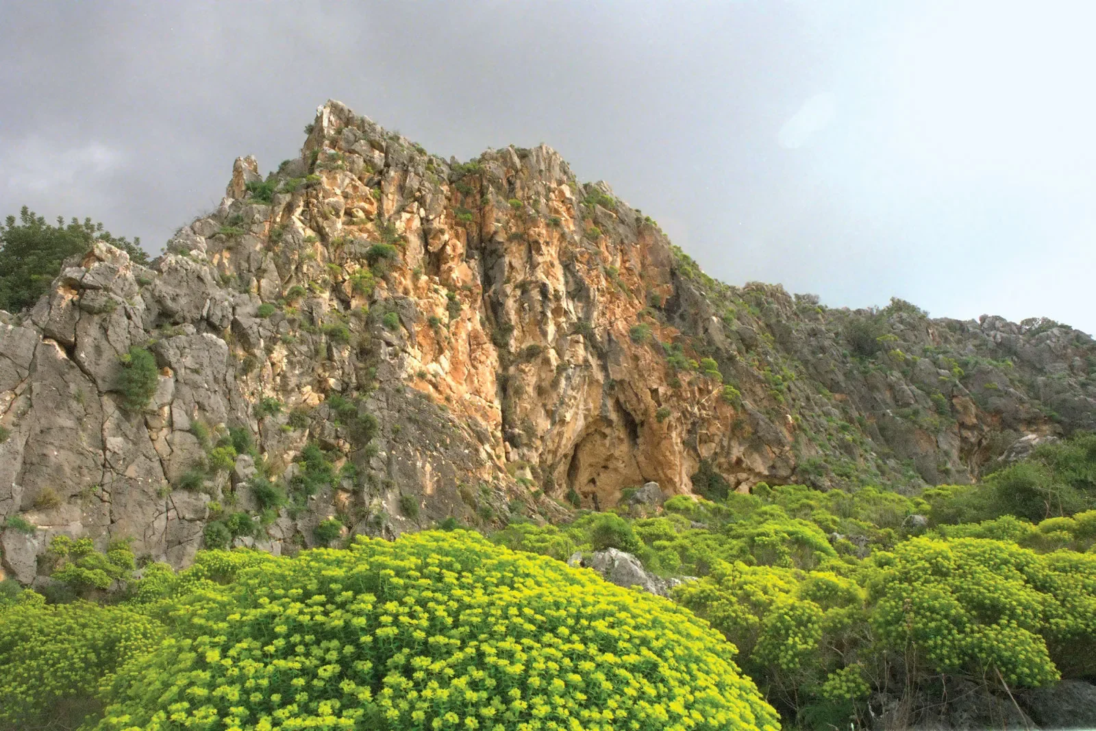 Nahal-Mearot-Mount-Carmel-Israel-mountain-range.jpg.webp