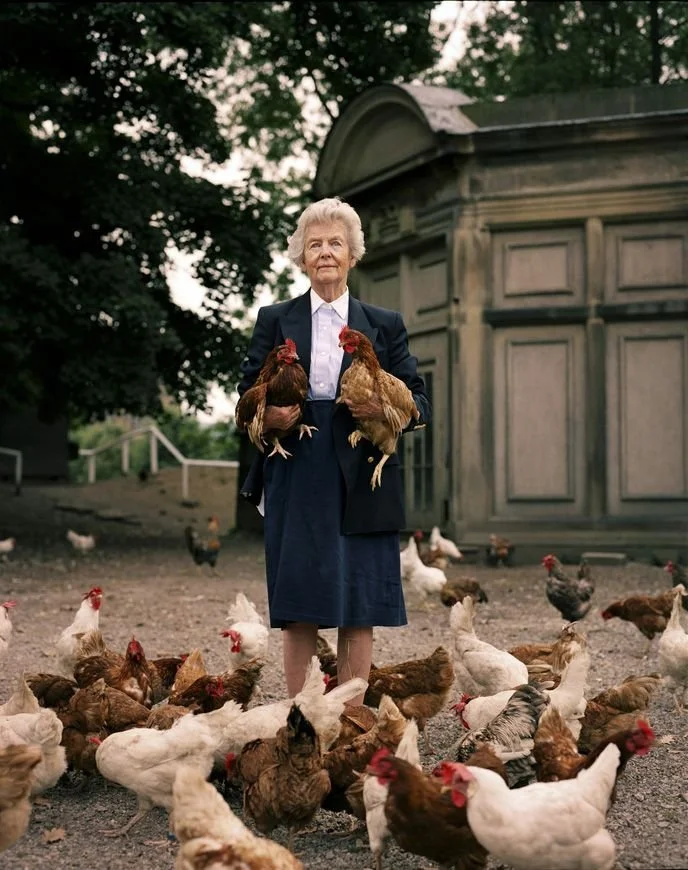 March is here and so are the hens