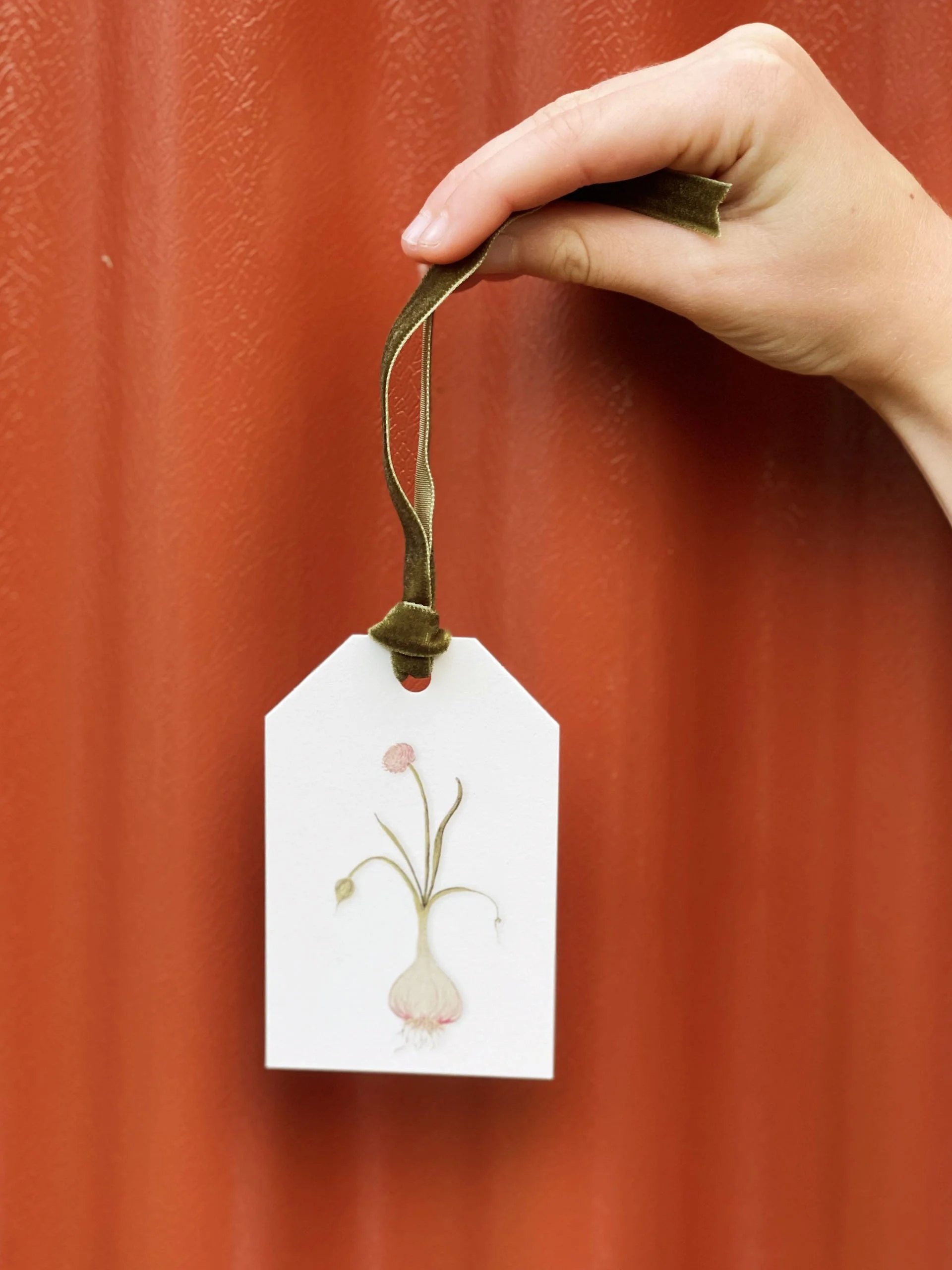 Allium Sativum Gift Tag