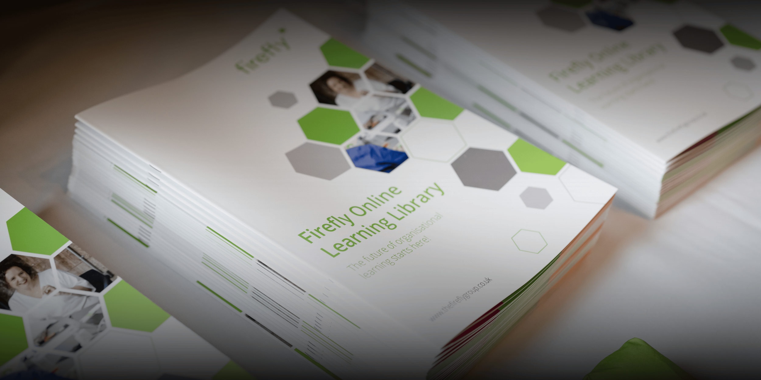 Firefly Programme Firefly Certified Facilitator Programme — Firefly Online Learning
