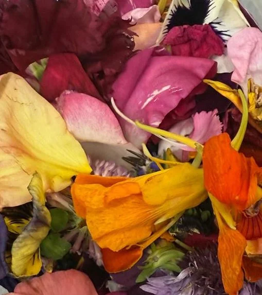 A colorful assortment of flower petals in shades of yellow, pink, orange, red, purple, and black.