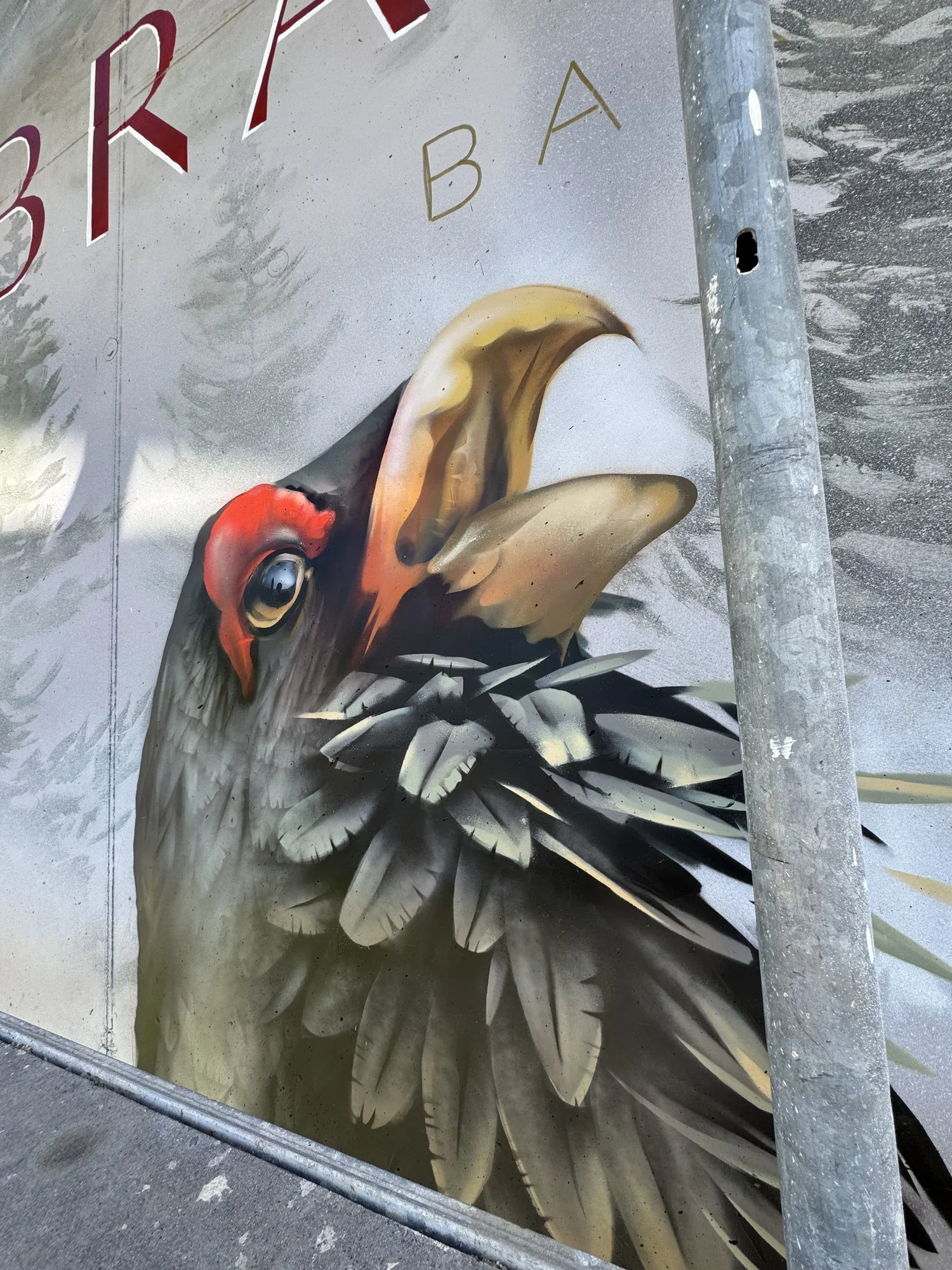 Detailaufnahme der Fassadenkunst – realistische Vogelmalerei